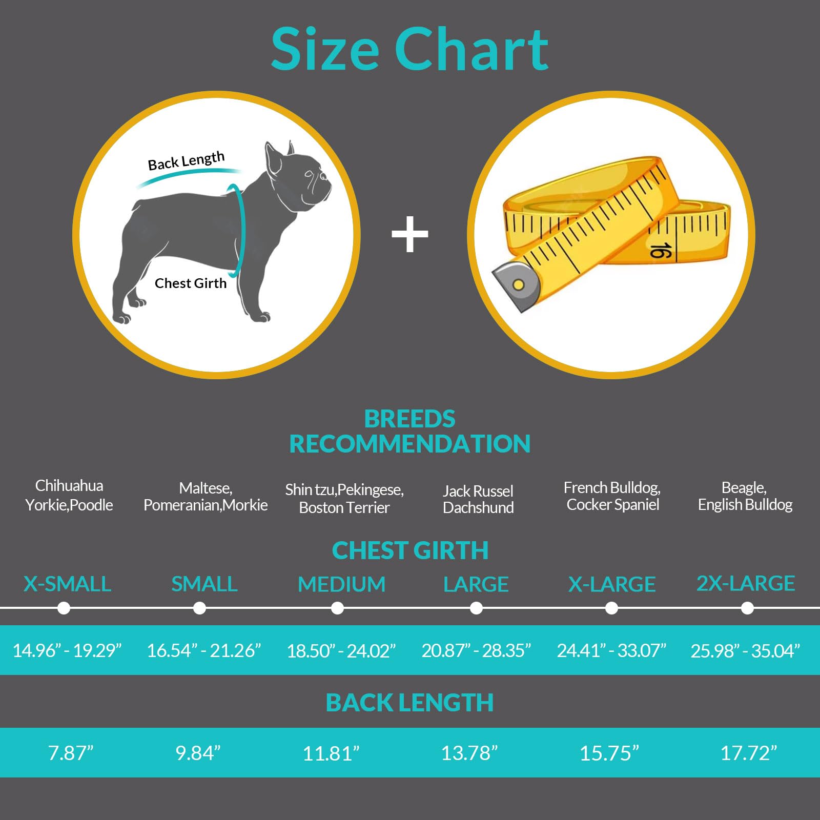 Queenmore Dog Life Jacket Swimming Vest Small Medium Dogs Neoprene Boating Life Preserver Lightweight Reflective Cat Puppy Kayak