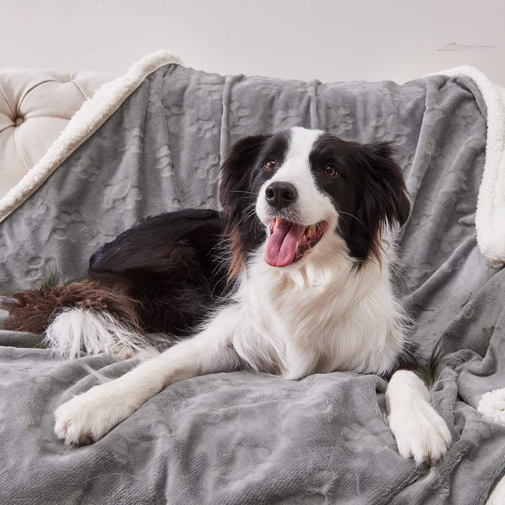 Qeils Dog Blankets For Large Dogs - Waterproof Cat Blanket Washable - Sherpa Fleece Puppy Blanket, Soft Plush Reversible Throw P