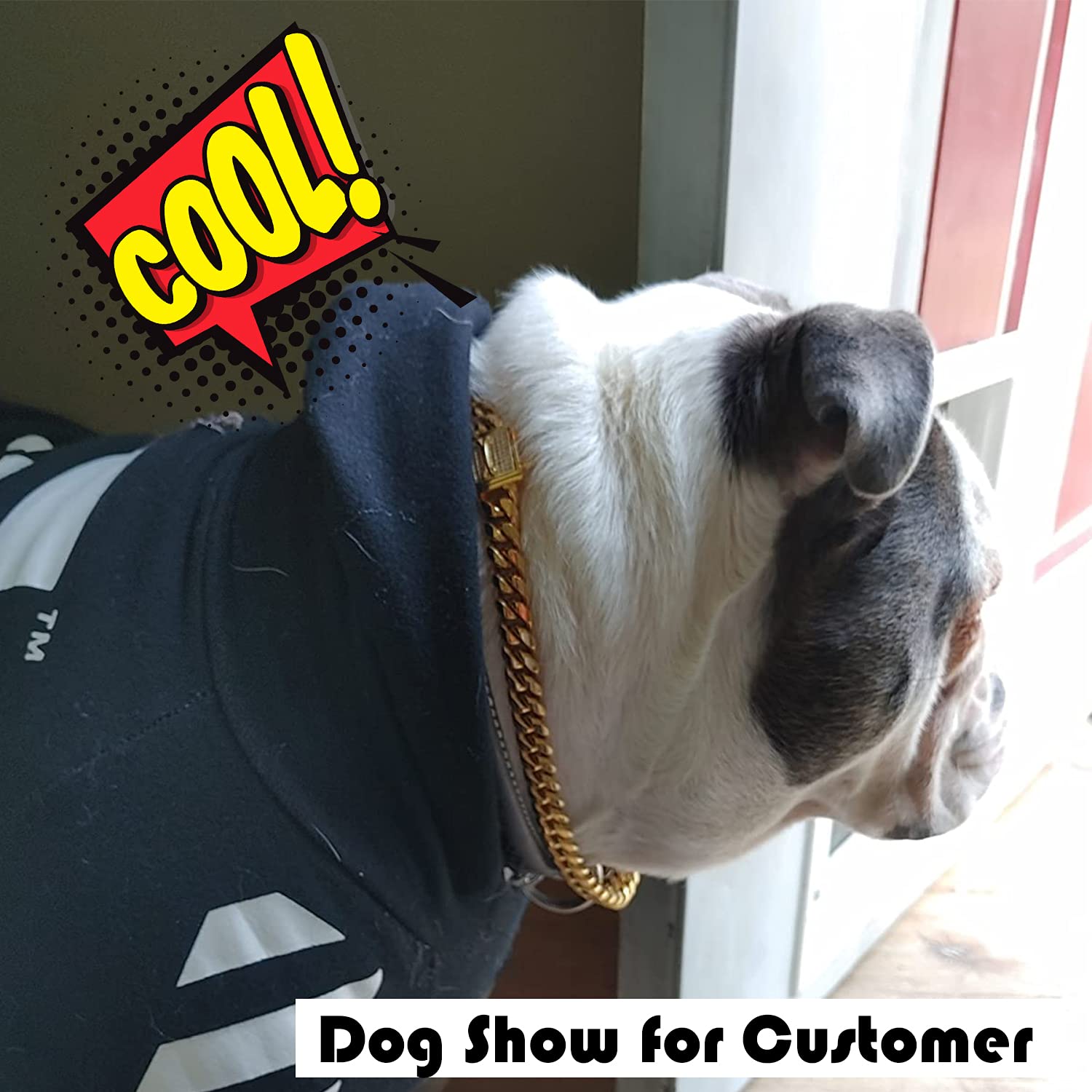 Chain Dog Collar with Zirconia Locking 12mm 18K Gold Cuban Link Chain Metal Stainless Steel Dog Walking Puppy Collar Luxury Dog