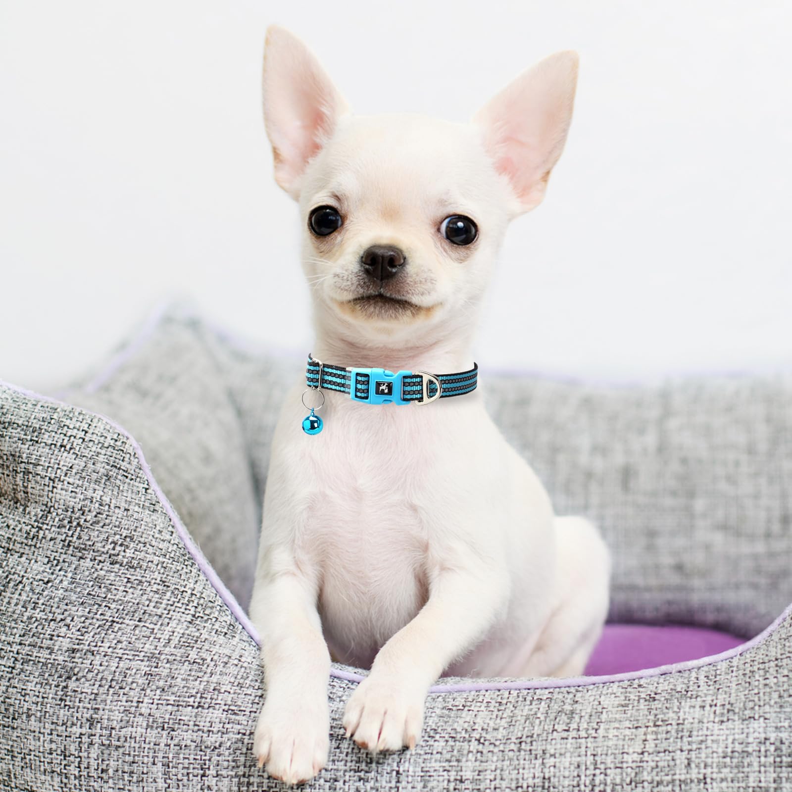 Onefojojo Reflective Dog Collar With Bell - Hypoallergenic Adjustable Nylon Puppy Collar For Night Safety, Soft Comfort Fit Smal