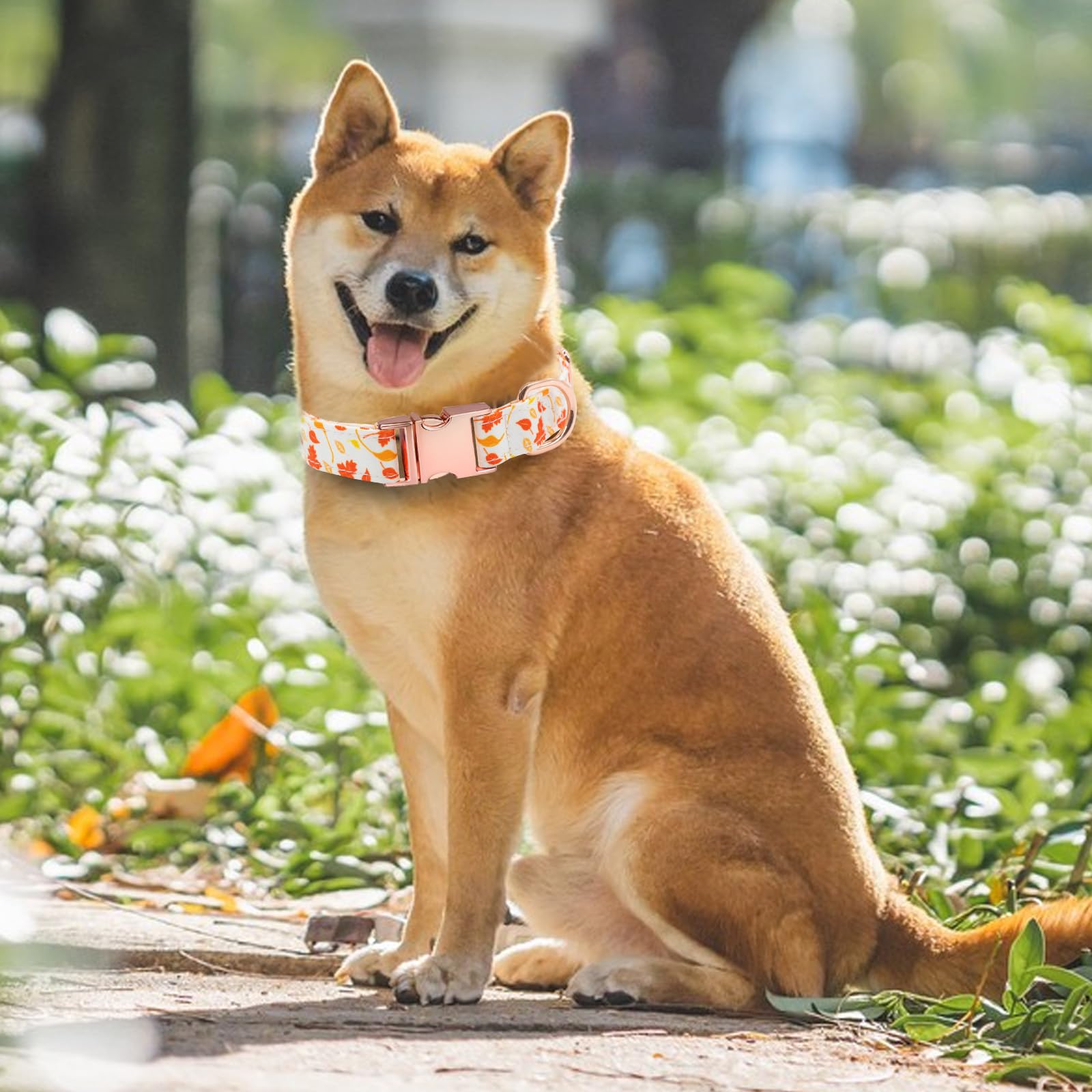 HSIGIO Dog Collar and Leash Set Girls Adjustable Puppy Collars with Floral Bow Tie for Small Medium Large Female Dogs, Orange Ma