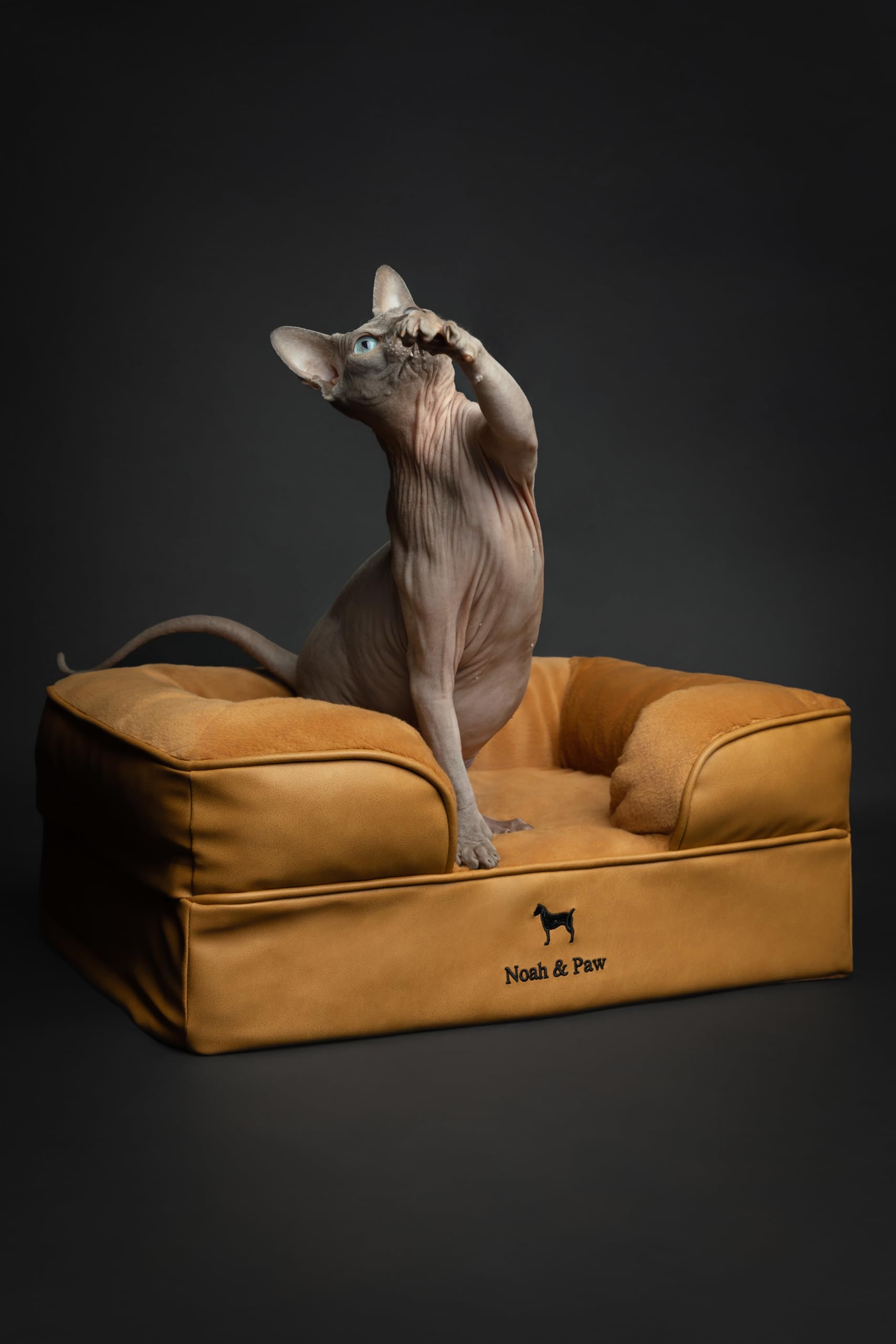 NOAH & PAW Small Dog Bed, 20x15x8 Inch, Cat Bed for Indoor Cats, Orthopedic Eggshell Memory Foam Infused with Cooling Gel, Water