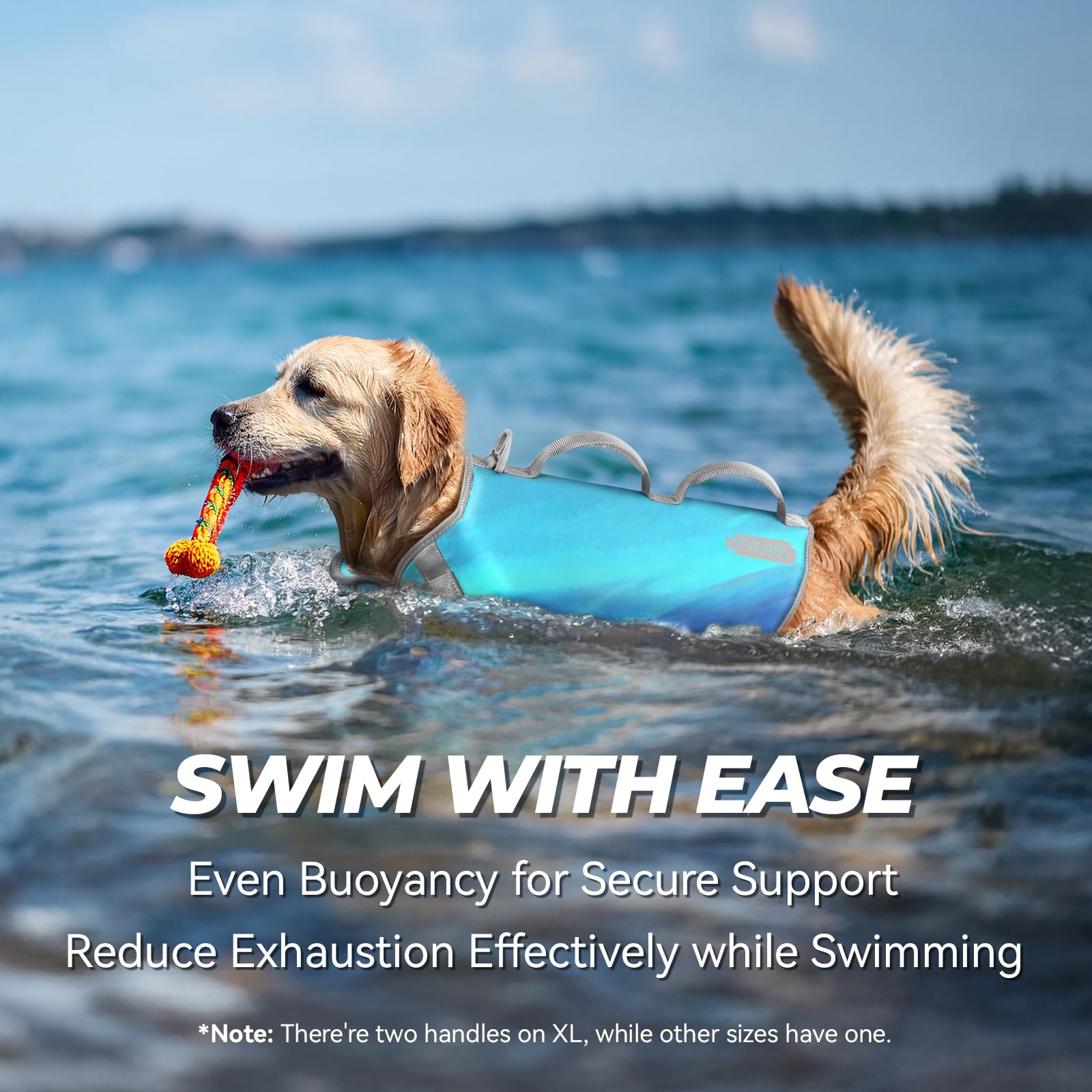 Vivaglory Neoprene Dog Life Jacket Cat Life Jacket For Boating Hunting & Swimming, Lightweight With Leash Ring, Xs, Teal