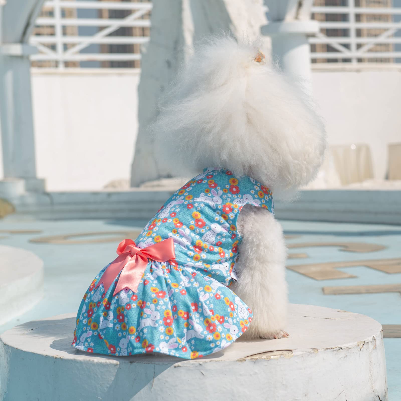 Cutebone Dog Mesh Dress Easter Day Puppy Sundress Summer Fashion For Small Dogs Girl Dresses Dog Clothes Bf08L