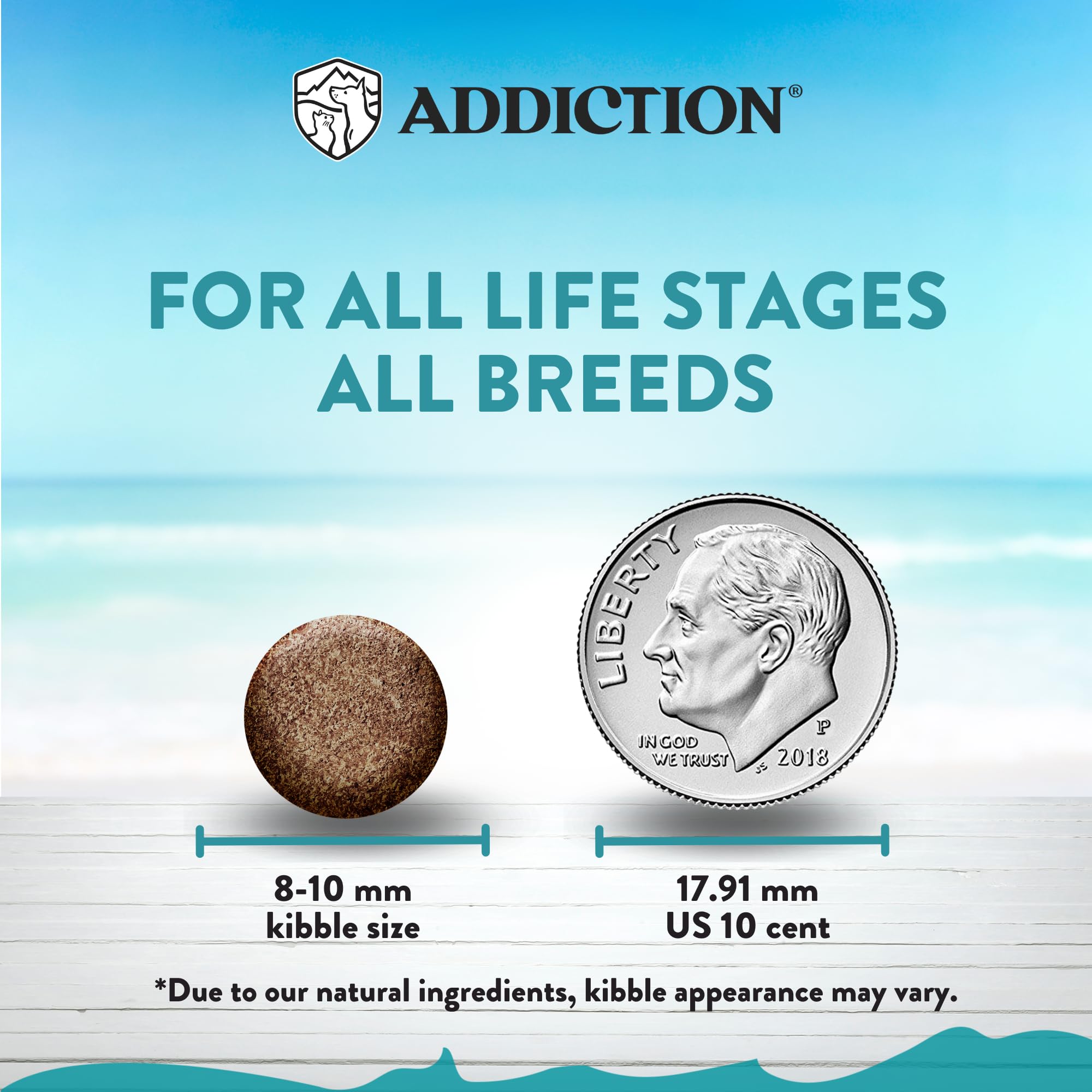 Addiction Salmon Bleu Grain-Free Dry Cat Food - Rich in Omega-3 for Healthy Skin & Coat - Complete & Balanced Salmon Recipe for