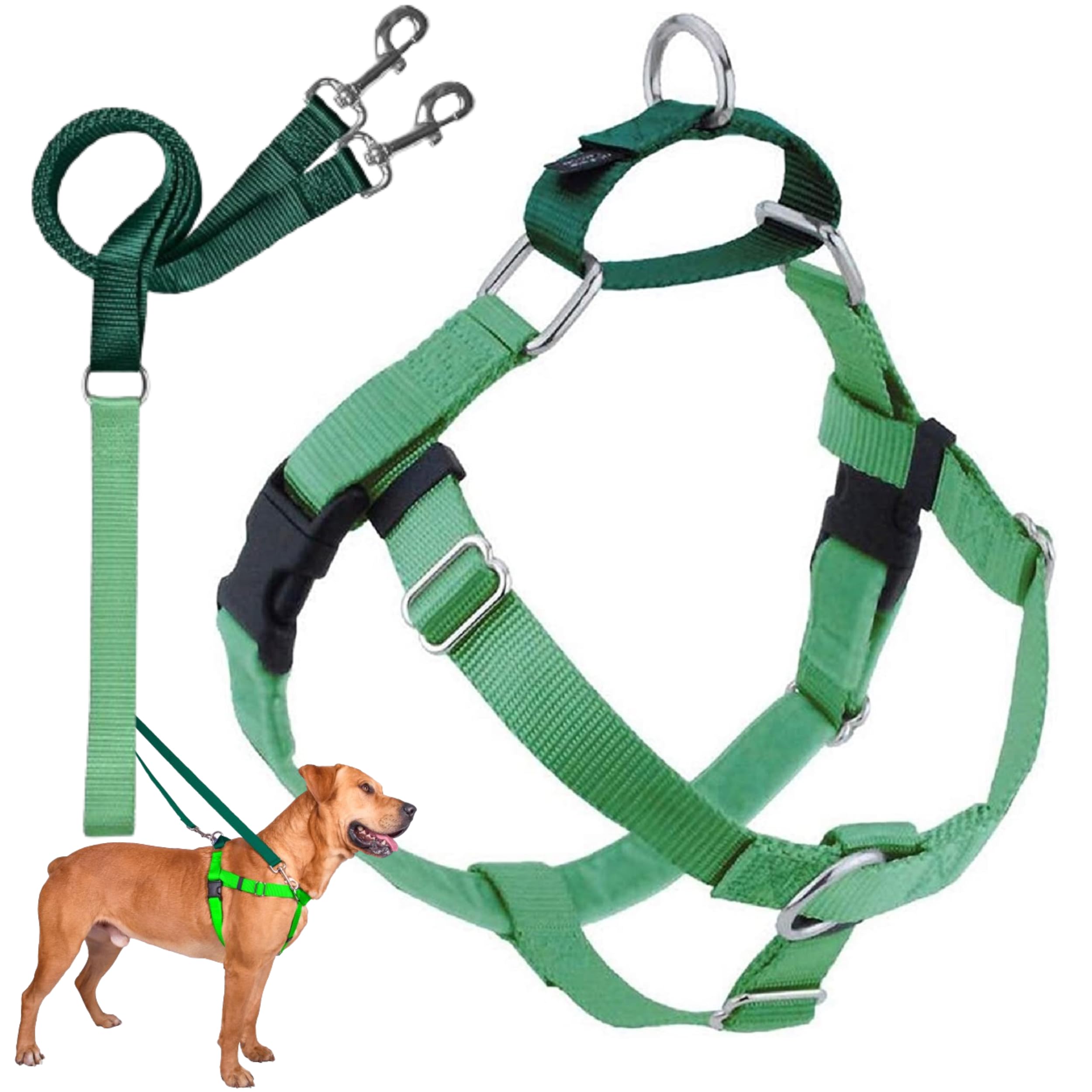 2 Hounds Design Freedom No Pull Dog Harness, Adjustable Harness And Leash Set, Easy Walking & Comfortable Control, Fits Small, Medium & Large Dogs, Solid Colors, Made In Usa, 1' Md, Neon Green