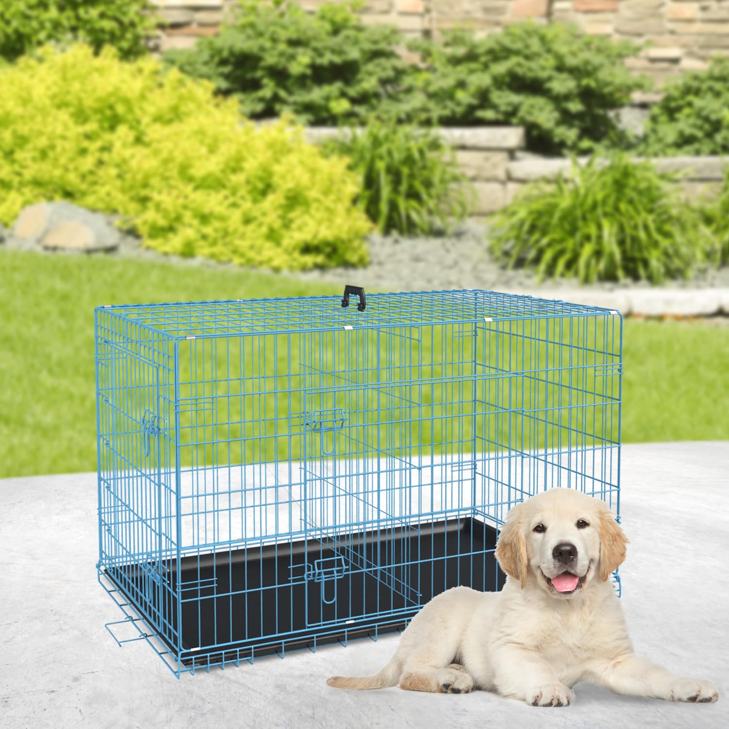 BestPet 24 Inch Dog Crates for Small Dogs Folding Mental Wire Crates Dog Kennels Outdoor and Indoor Pet Dog Cage Crate with Doub