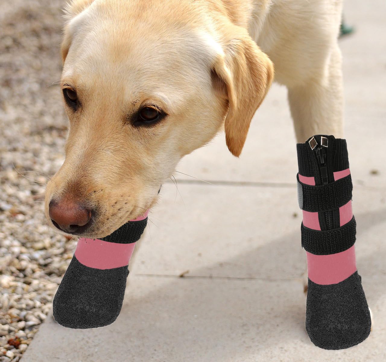 Valfrid Waterproof Grip Dog Shoes,Anti-Slip Dog Socks Boots,Zipper Dogs Booties Paw Protectors For Hardwood Floor,Indoor And Out