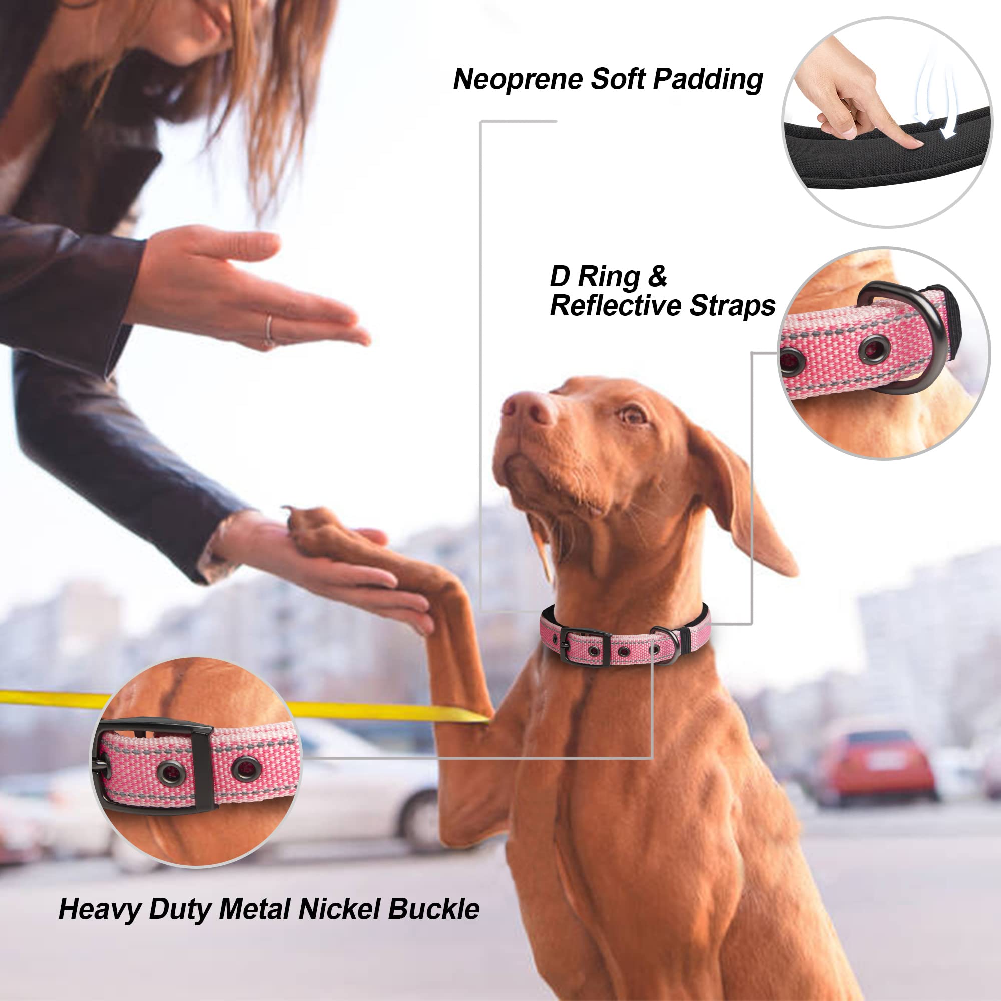 PetiFine Neoprene Padded Dog Collar, Heavy Duty Comfort Dog Collar with Durable Metal Buckle, Reflective Adjustable Belt Buckle