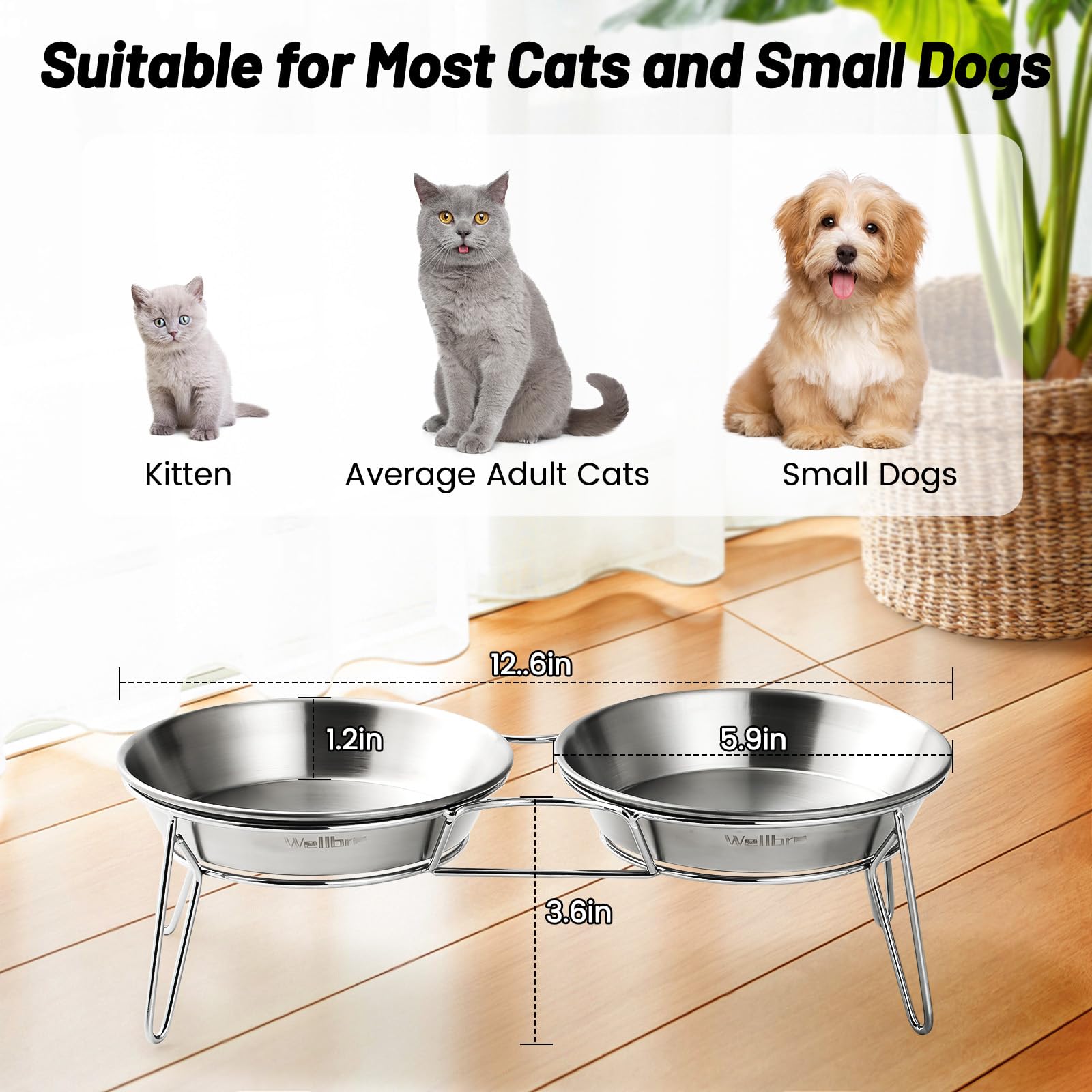 Wellbro Elevated Cat Bowls, 5.9 Inch Wide Stainless Steel Cat Food Bowls with Metal Stand Whisker Stress-Free, Raised Food and W