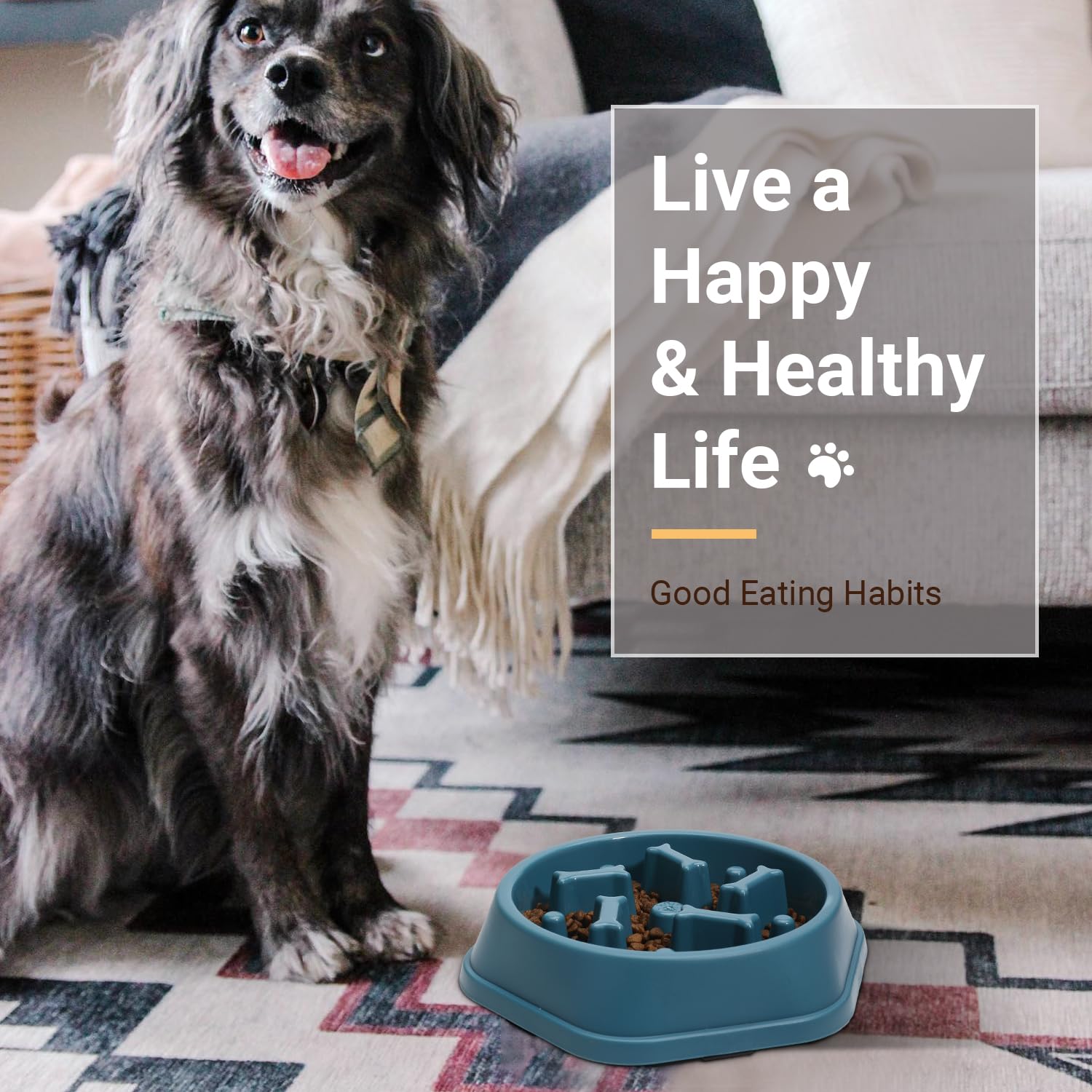 ASEVAT 2 Pack Slow Feeder Dog Bowls, Anti-Choking Puzzle Dog Food Bowls for Slower Eating, Personalized Dog Bowls for Medium Dog