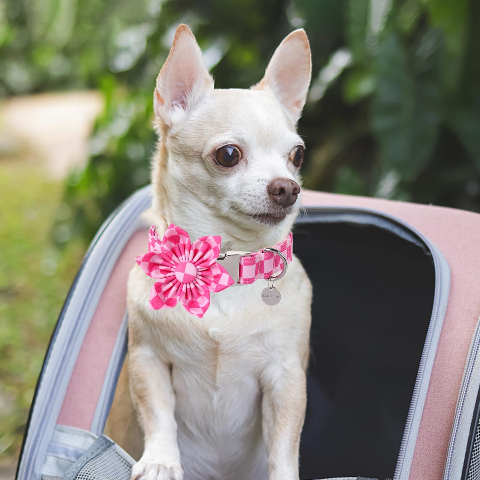 Dog Collar With Flower, Up Urara Pup Cute Pink Dog Bowtie Collar, Detachable Flower Bow Puppy Collar With Metal Buckle For Dogs,