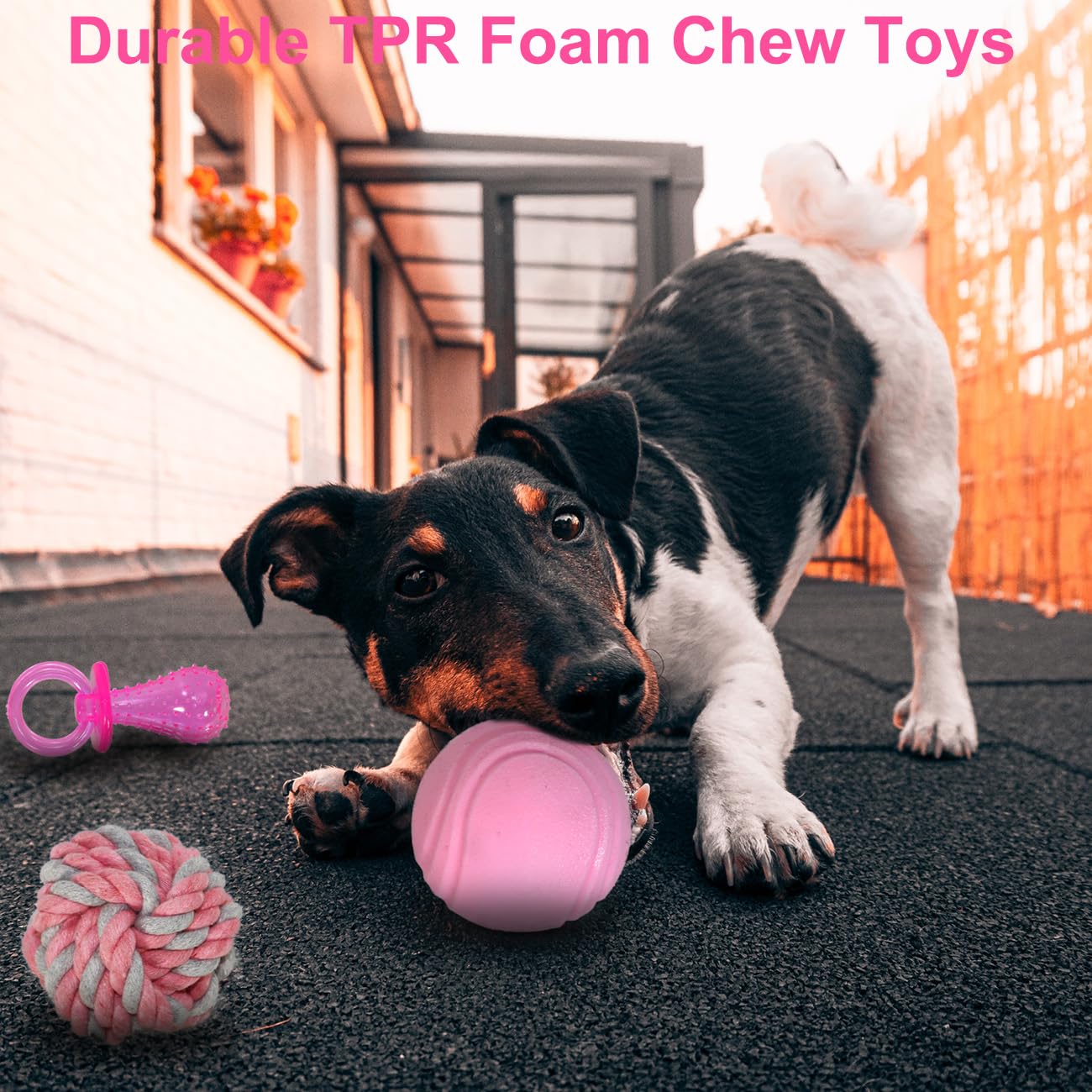 Beiker 20 Pack Pink Puppy Chew Toys - Dog Teething Toys For Puppies, Puppy Toys Toothbrush With Durable Ropes, Soft Dogs Toy Bun