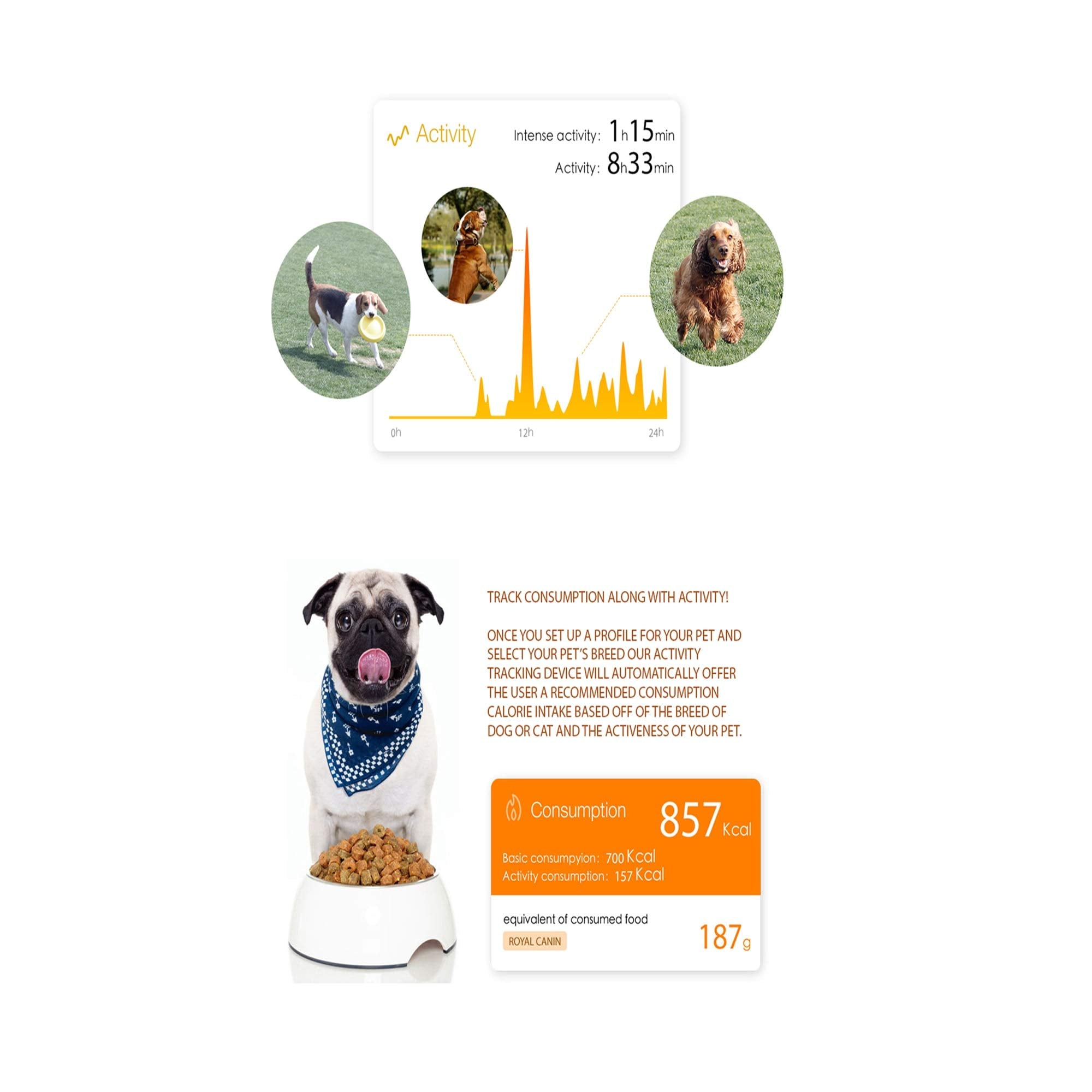 PETKIT Fresh Metal Large Machine Washable Smart Digital Feeding Pet Bowl