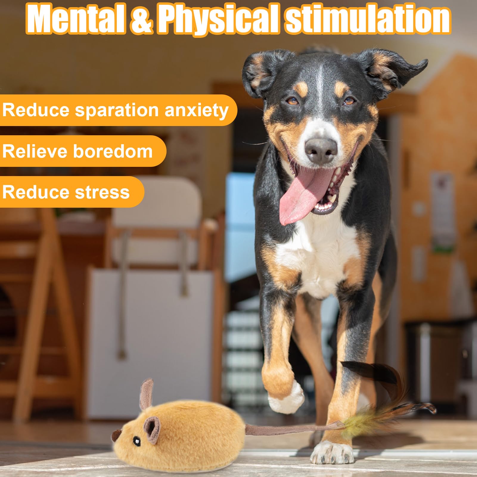 Mity rain Interactive Dog Toys, Fake Mouse Moving Dog Toy with Automatic Sensor, Dog Mouse Toy with Realistic Sound & Extended T