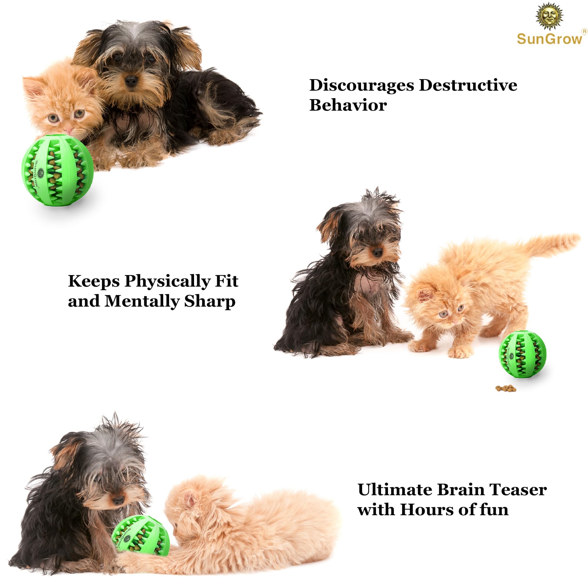 SunGrow Teething Treat Chew Ball for Rabbit, Ferret, Guinea Pig, Puppy, Kitten Tooth Clearing Puzzle Treat Dispenser, Aquarium F