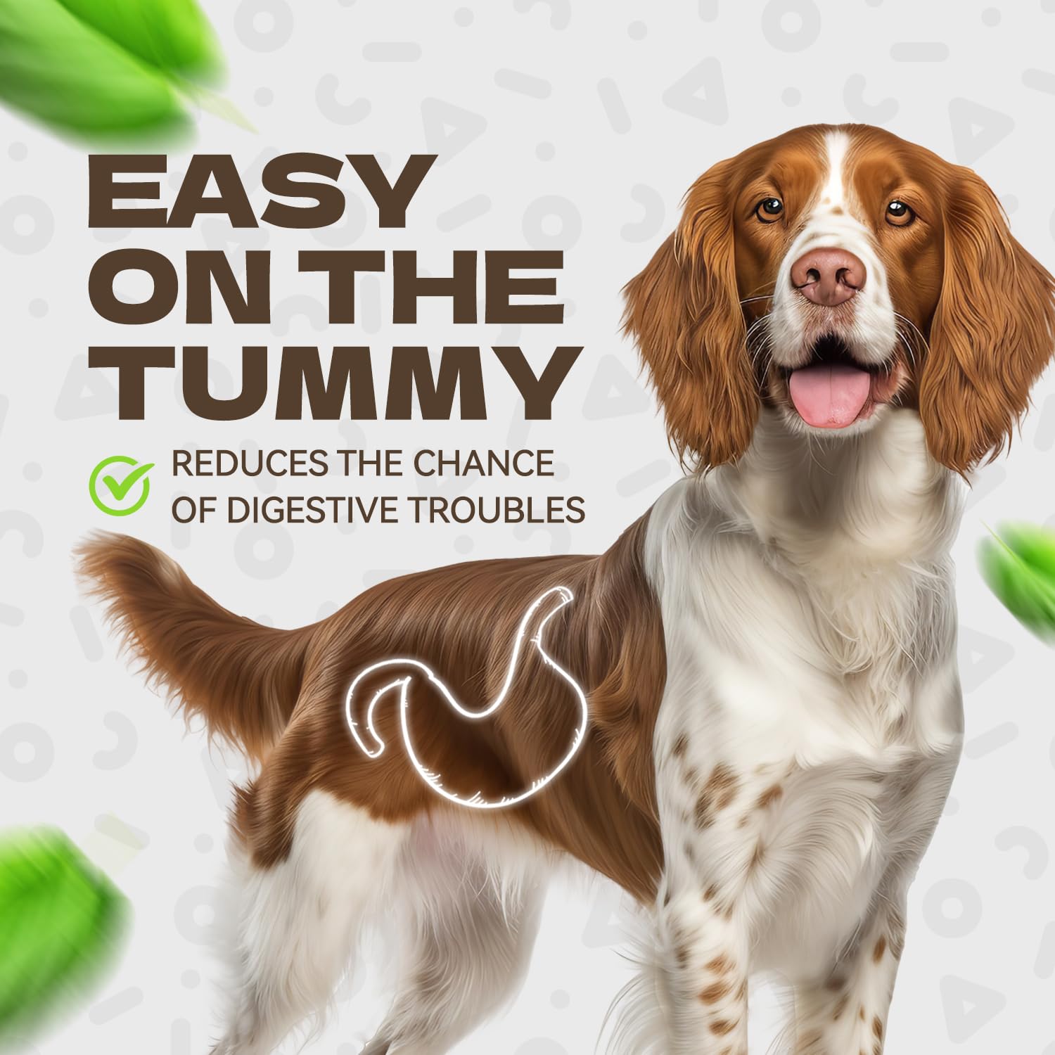KUADELRO Chicken Jerky Dog Treats, Real Chicken Strips Dog Training Treats Soft Rawhide-Free Chews Healthy Snacks for Small Medi