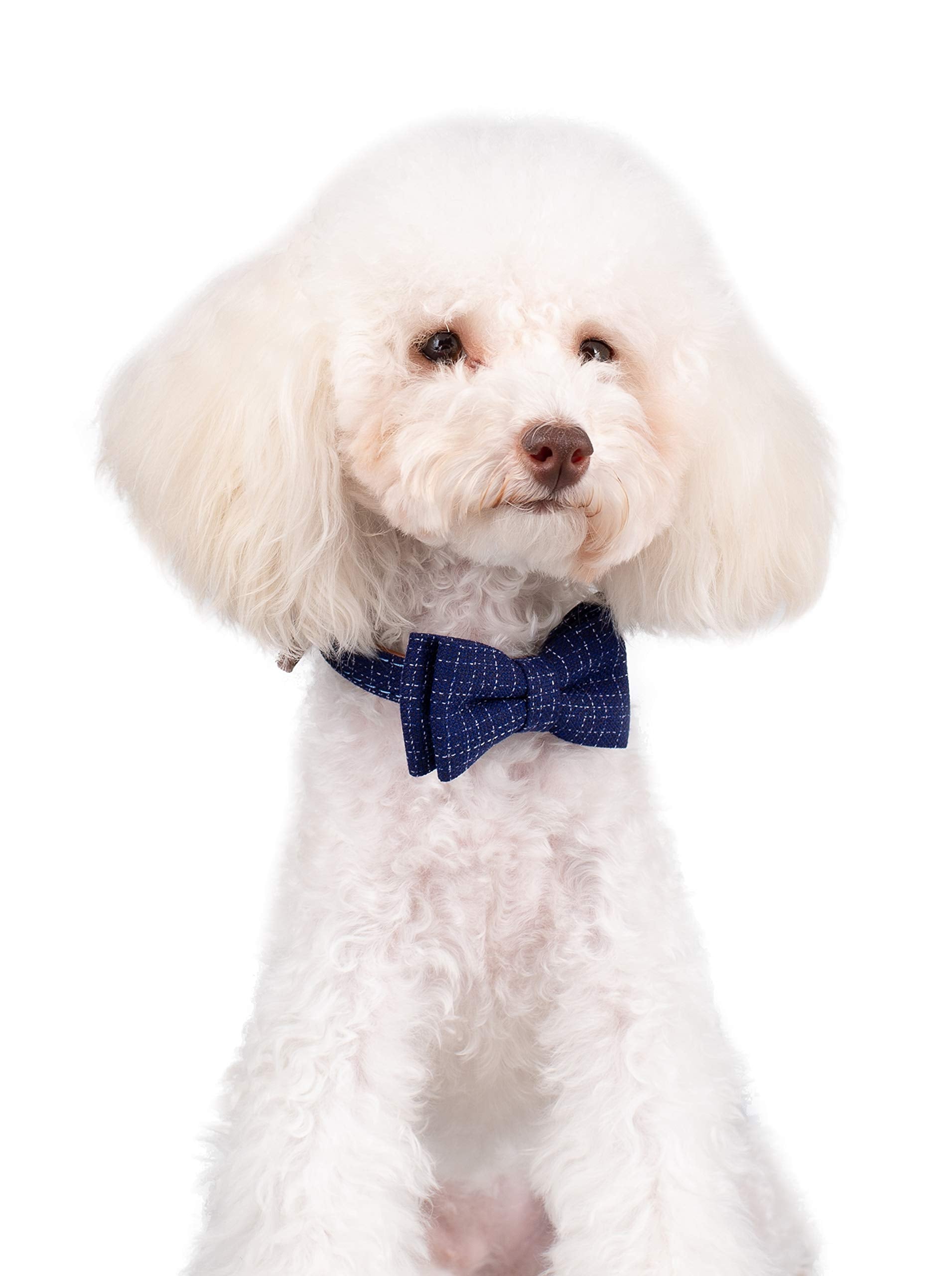 Gyapet Small Dog Collar Puppy Cat Tiny Pet Bow Tie & Bandana 2Pcs Set Pu Leather Canvas Scarf Durable Blue Classic