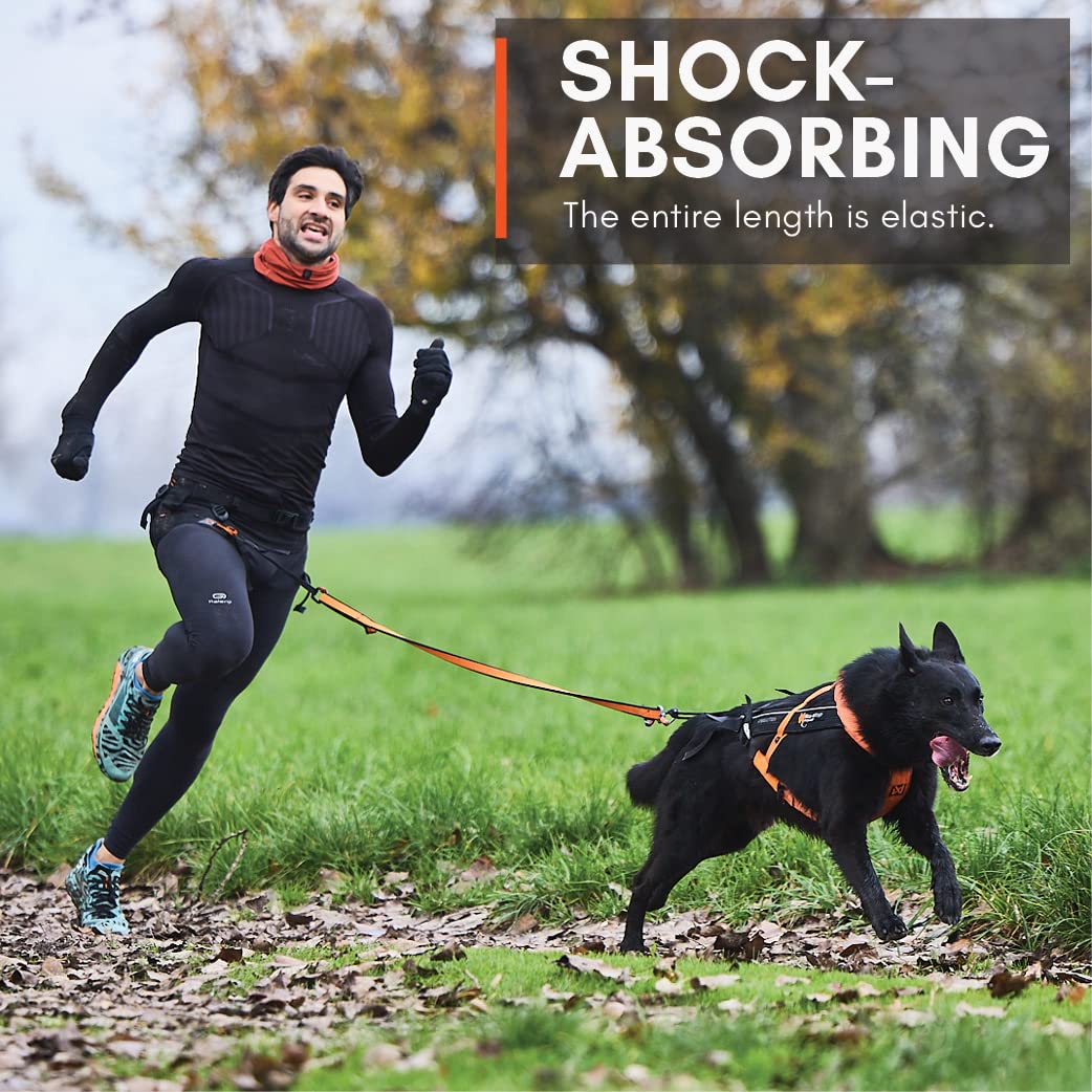 Non-Stop Dogwear Bungee Leash Elastic Dog Leash For Sports Like Running, Biking And Skiing With Dogs, Black/Orange, Size 2.8 M /