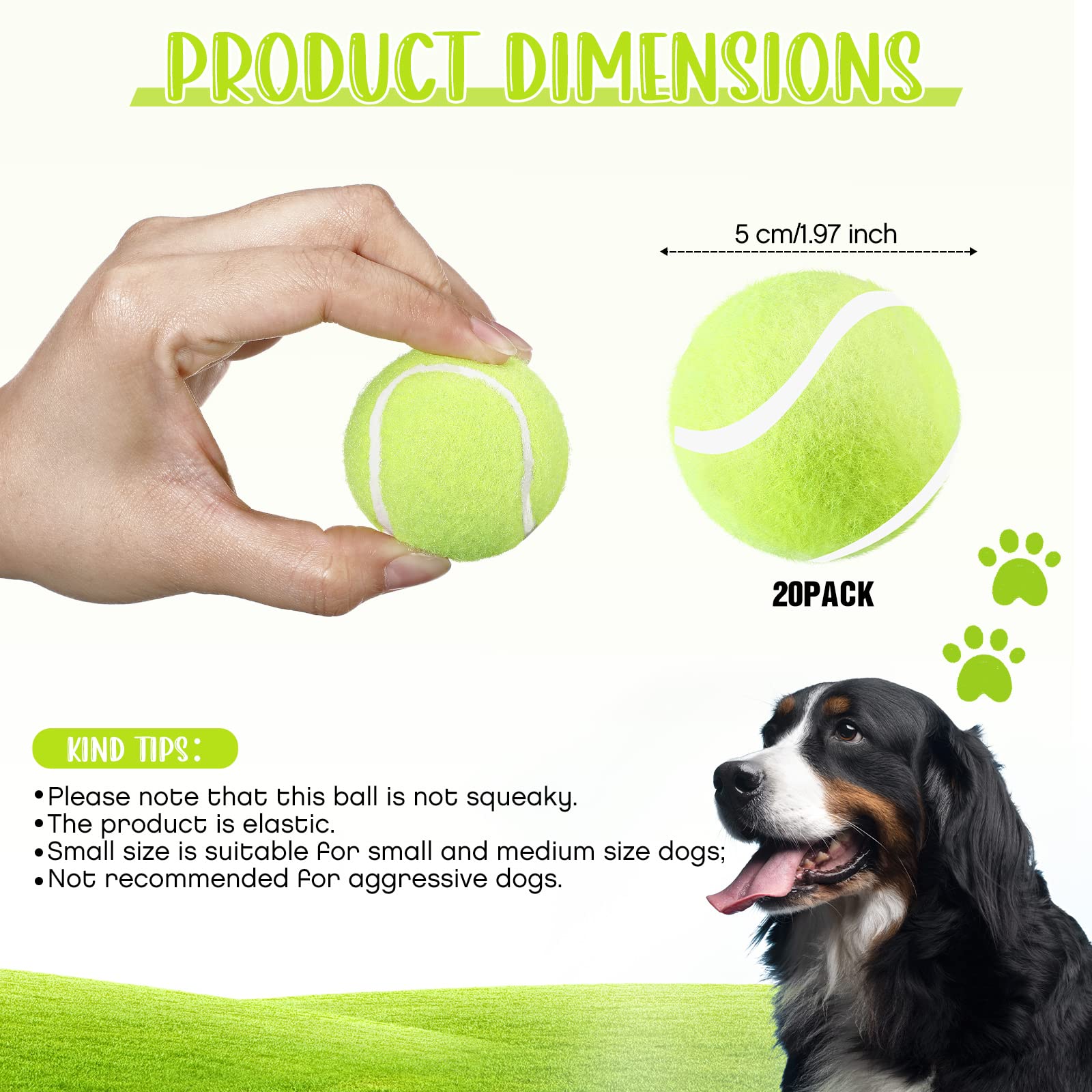 Hanaive 20 Pieces Dog Tennis Balls 2 Inch Mini Tennis Balls For Small Dog Pet Fetching Toy Rubber Felt Training Toys For Puppy P