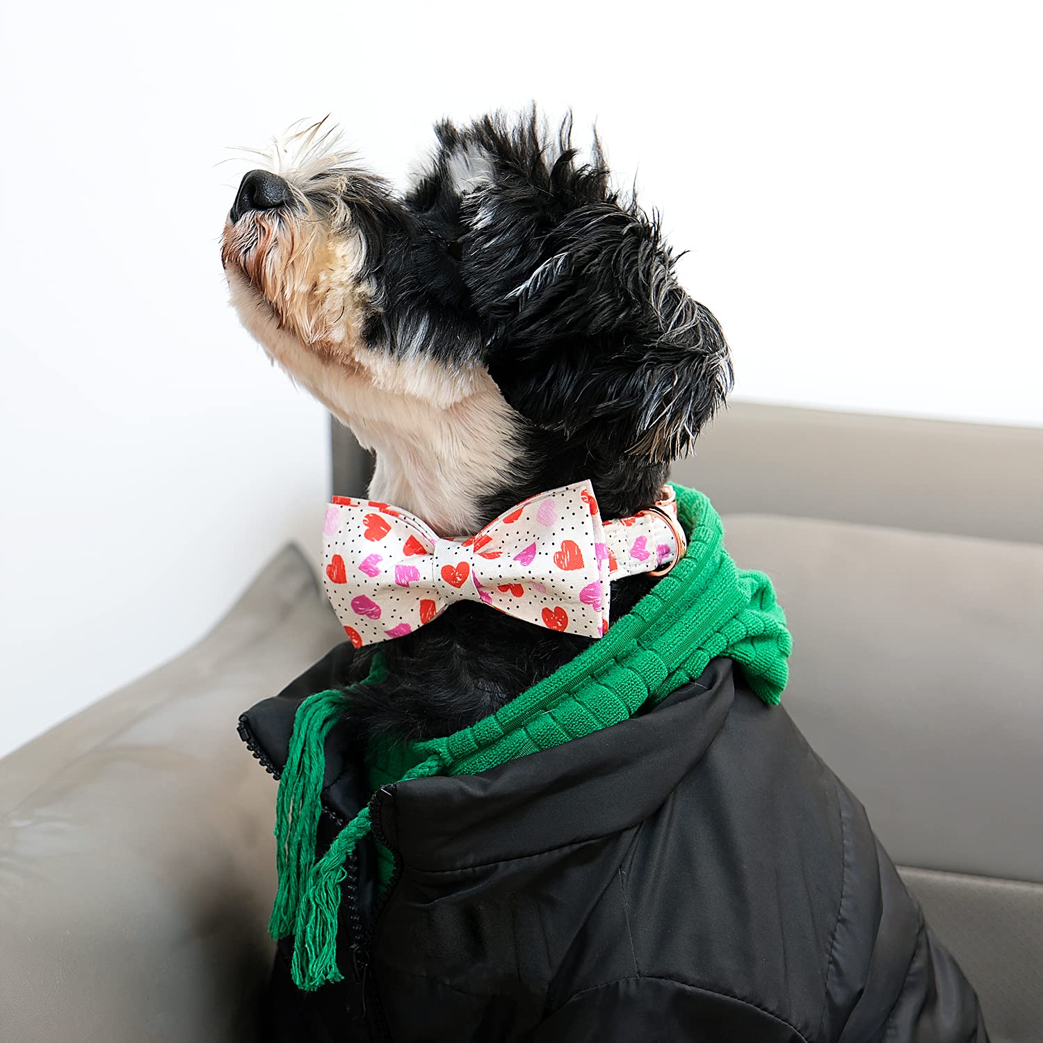 Lionet Paws Valentines Day Dog Collar With Bowtie, Dog Bowtie Collar With Metal Buckle For Dogs, Adjustable Comfortable Dog Coll