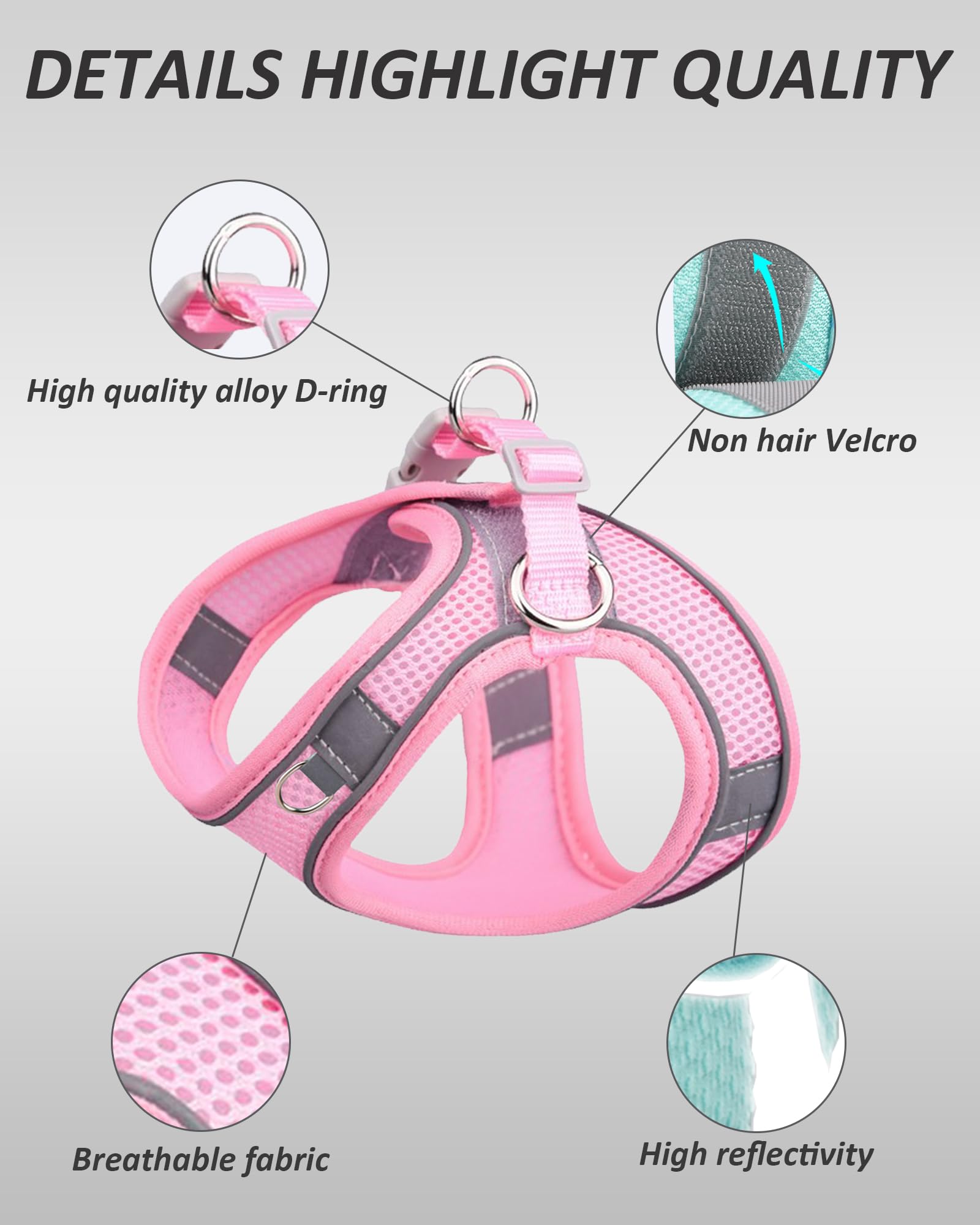 Solmoony Dog Harness And Leash Set For Small To Large Dogs - No Pull, Step-In, Mesh Design (Pink, Xxs)