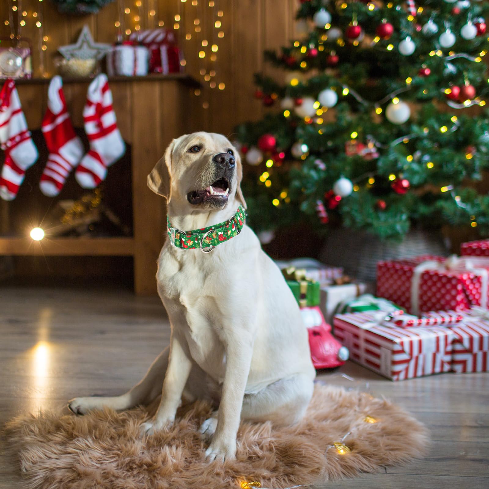 Christmas Martingale Collar For Dogs With Snowflakes Bells Hats, Adjustable Classic Nylon Martingale Dog Collar For Boy Girl Dog