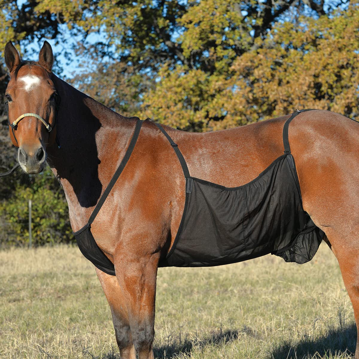 Cashel Fly Sheet Belly Guard, Large, Black, Mesh Material, Model FS-BG
