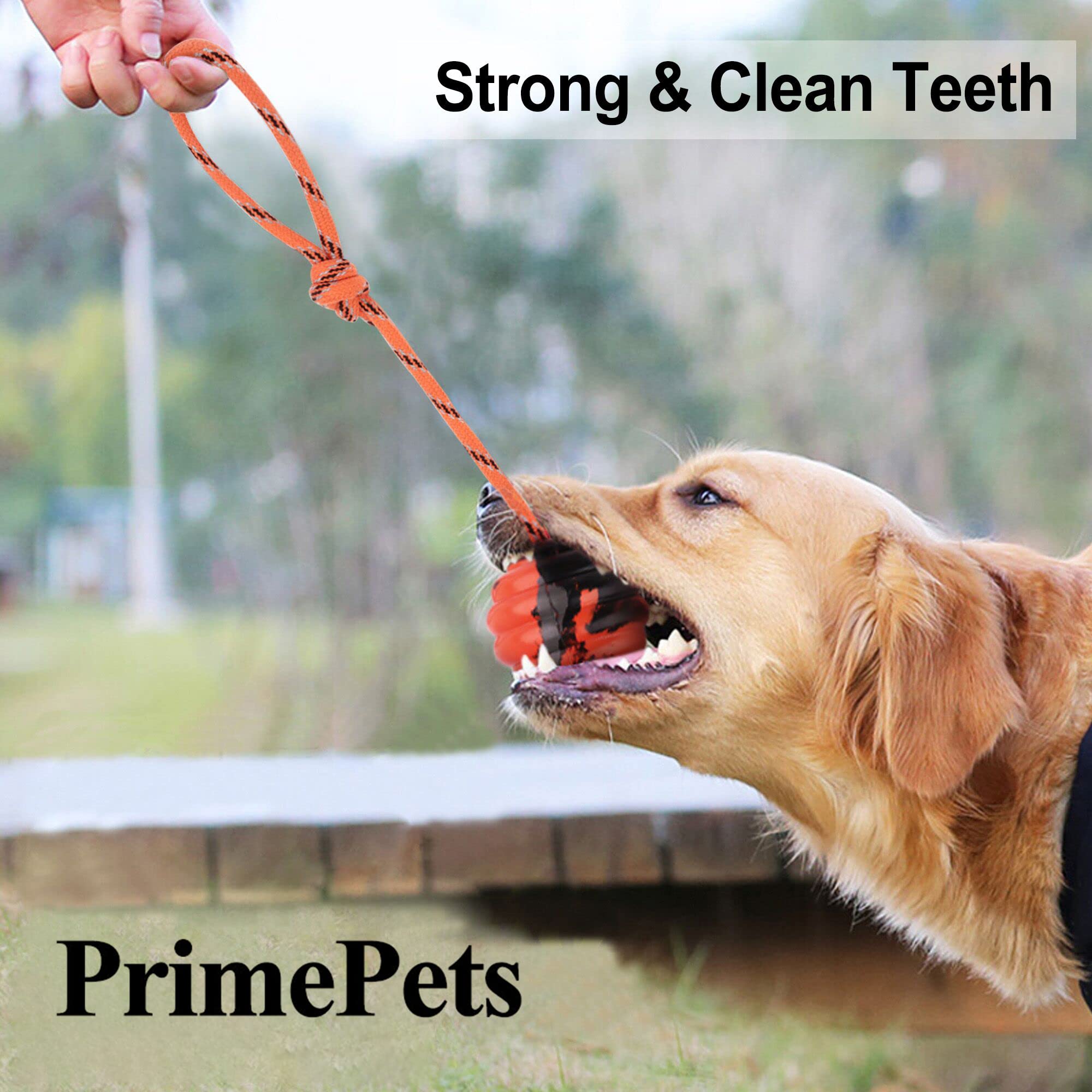 Primepets Dog Training Ball On Rope, 2 Pcs Solid Rubber Rope Ball, Tug Ball Toy For Medium And Small Dog, Tough Rope Toy, Non-Toxic And Durable Dog Toys