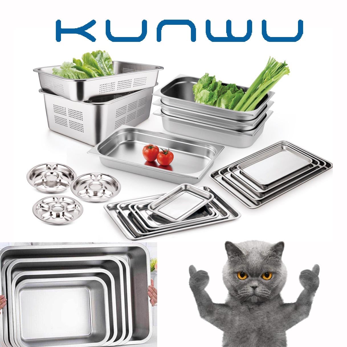 Kunwu Stainless Steel Pet Litter Box 20'X14'X2.75' For Cat, Dog & Rabbit, Corrosion Resistant Easy Clean Durable Pan (L (20'X14'), 2.75' Deep)