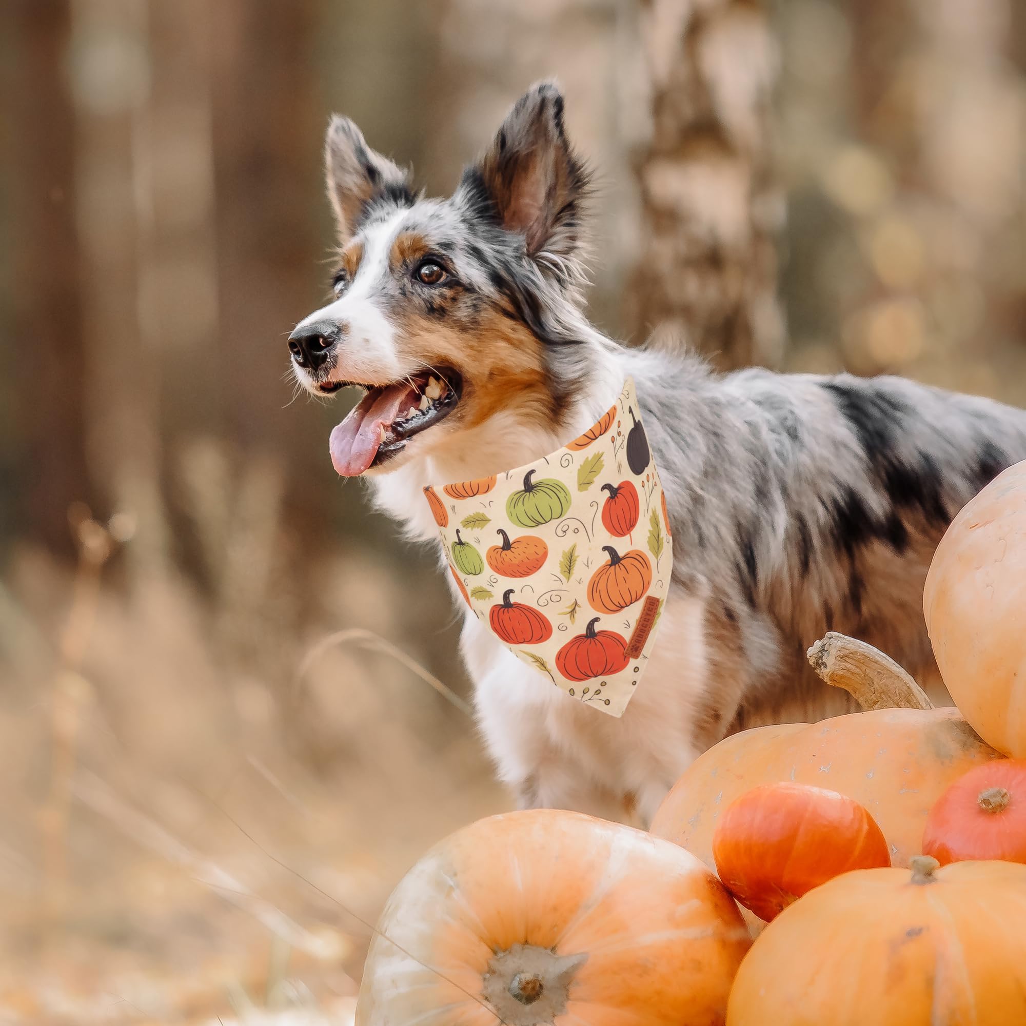 ADOGGYGO Fall Dog Bandana, Pumpkin Maple Leaf Autumn Thanksgiving Pet Scarf, Adjustable Fit Fall Bandanas for X-Large Dogs Pets