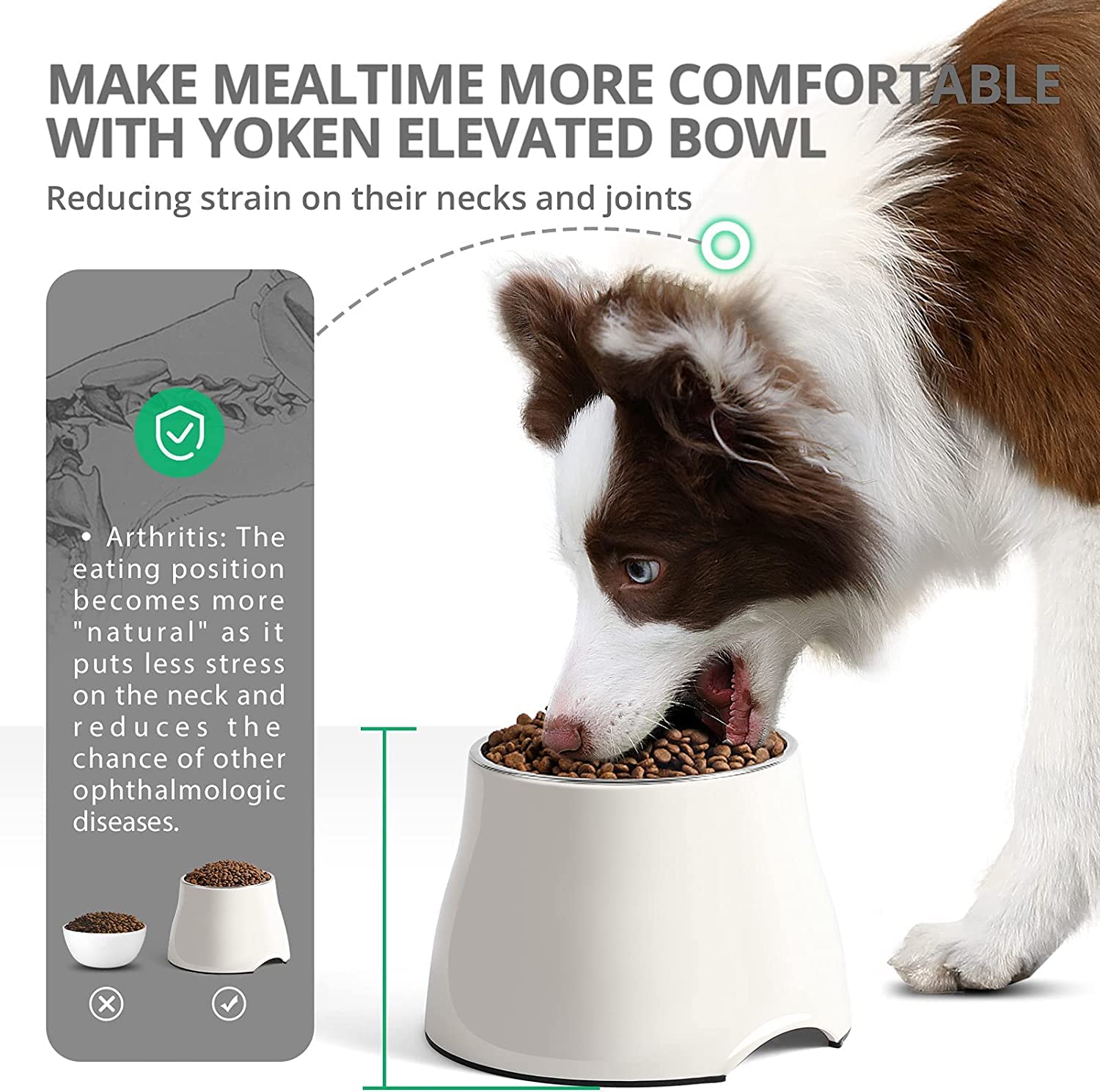 Yoken Sturdy Elevated Dog Bowls 2 Packs, Prevention of Vertebrae Disease, Non-Slip, High Capacity, Colorful Raised Bowls for Med