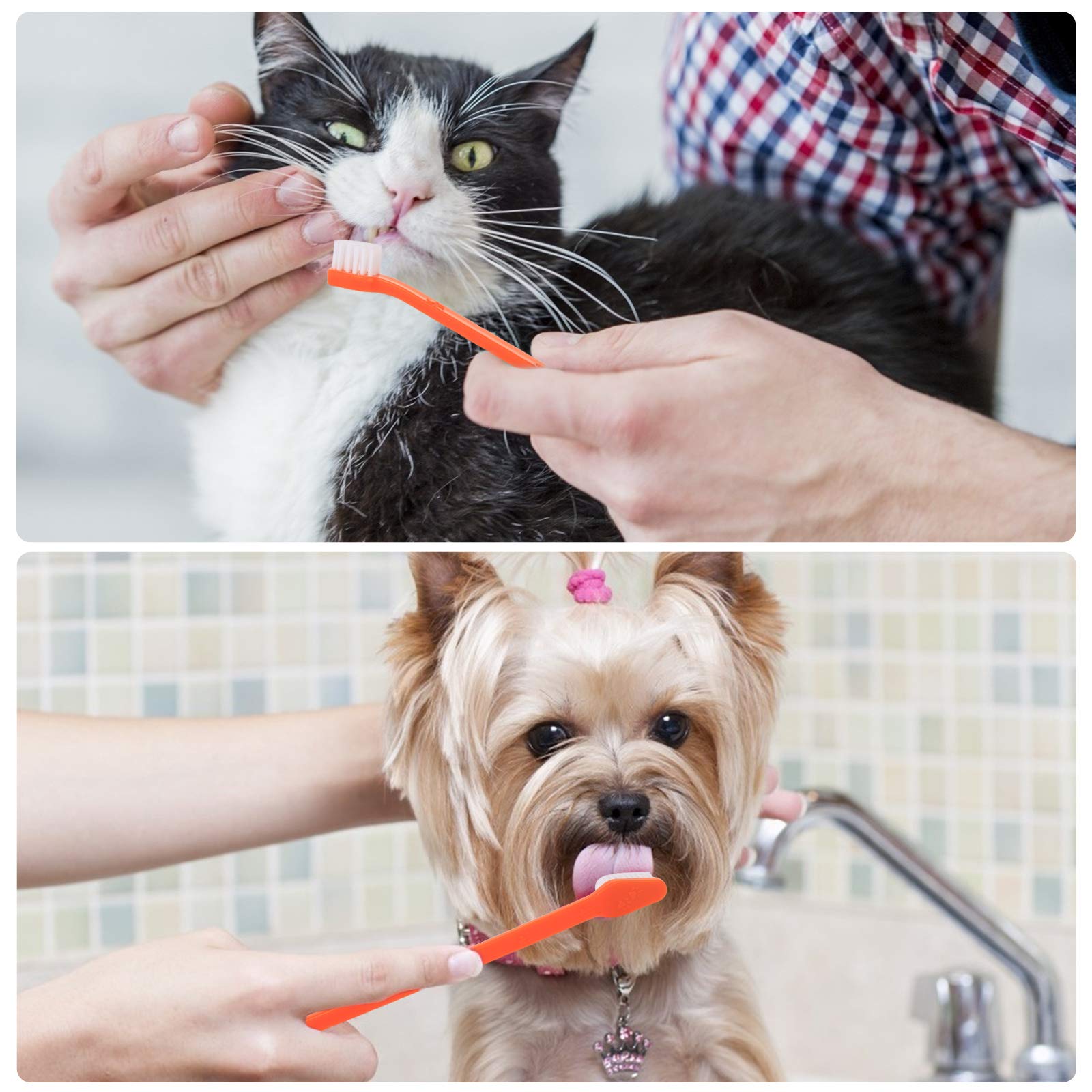 EASYA Double Headed Pet Dog Toothbrush for Small Dogs/Soft Bristles Puppy Long Handle Tooth Brush Dogs Teeth Cleaning/Bulk Tooth
