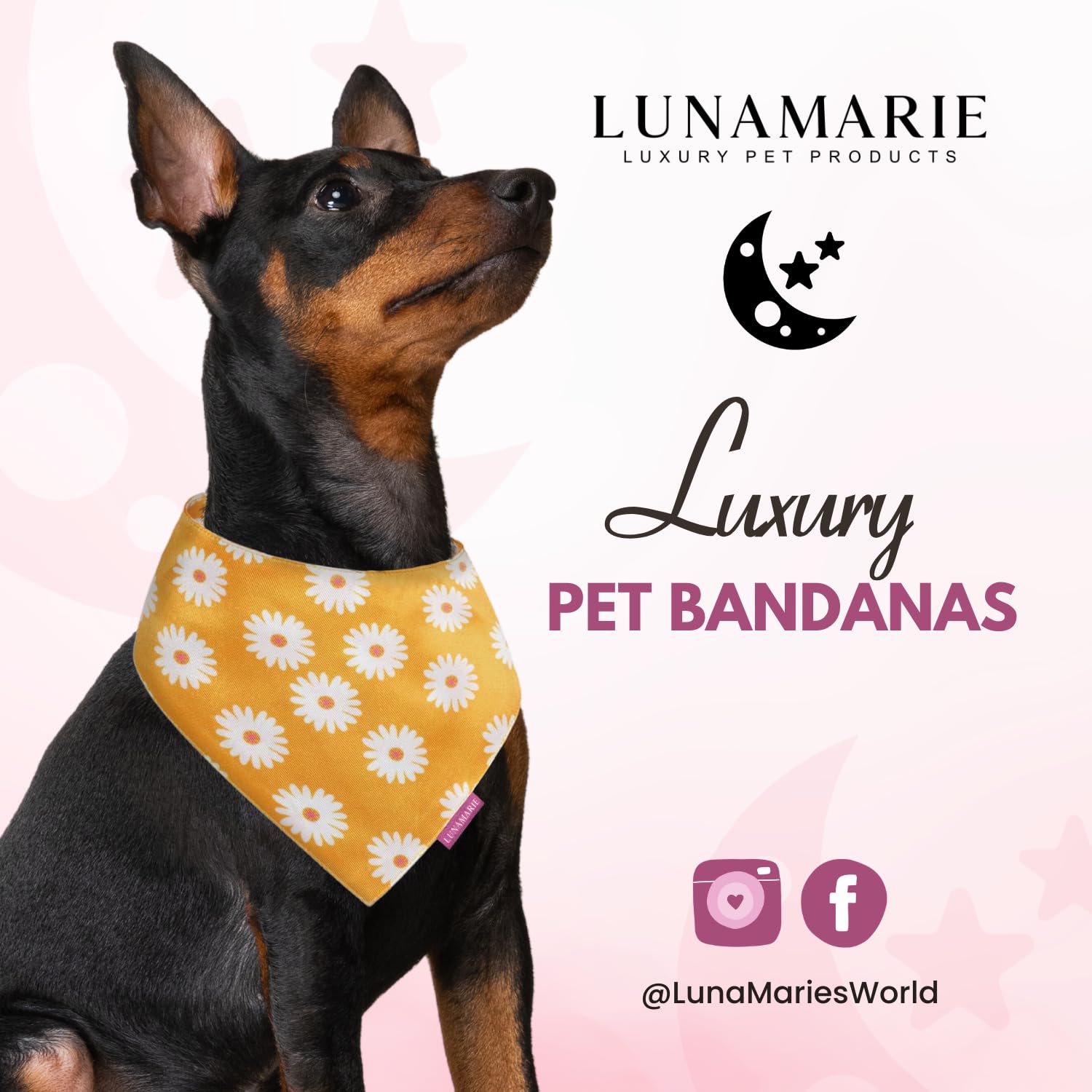 Lunamarie - Luxury Pet Birthday Bandanas -Premium & Silky Poly Fabric | 100% Handmade | Custom Shape Dual Layered (Daisies, Smal