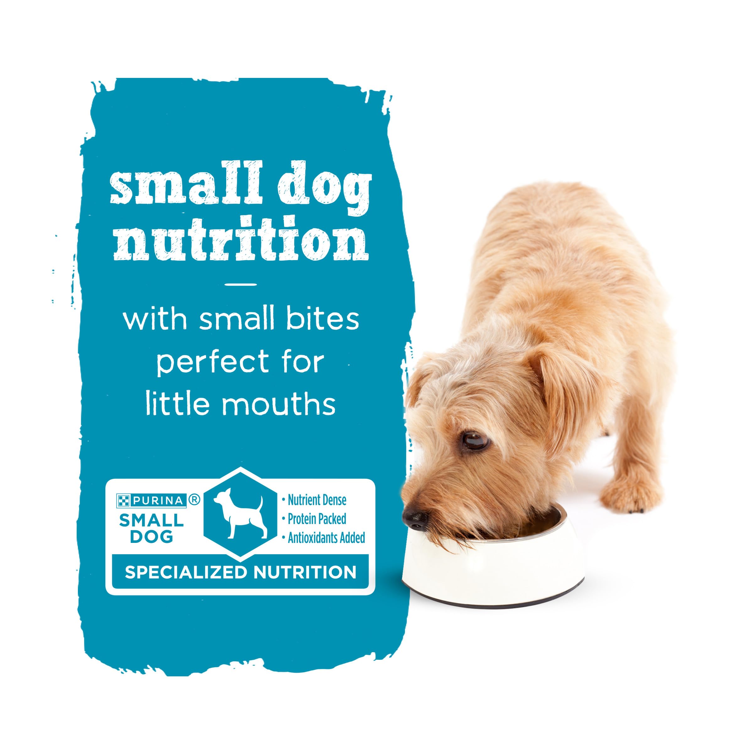 Purina Beneful Small Breed Wet Dog Food With Gravy, IncrediBites with Real Beef - (8 Packs of 3) 3 oz. Cans
