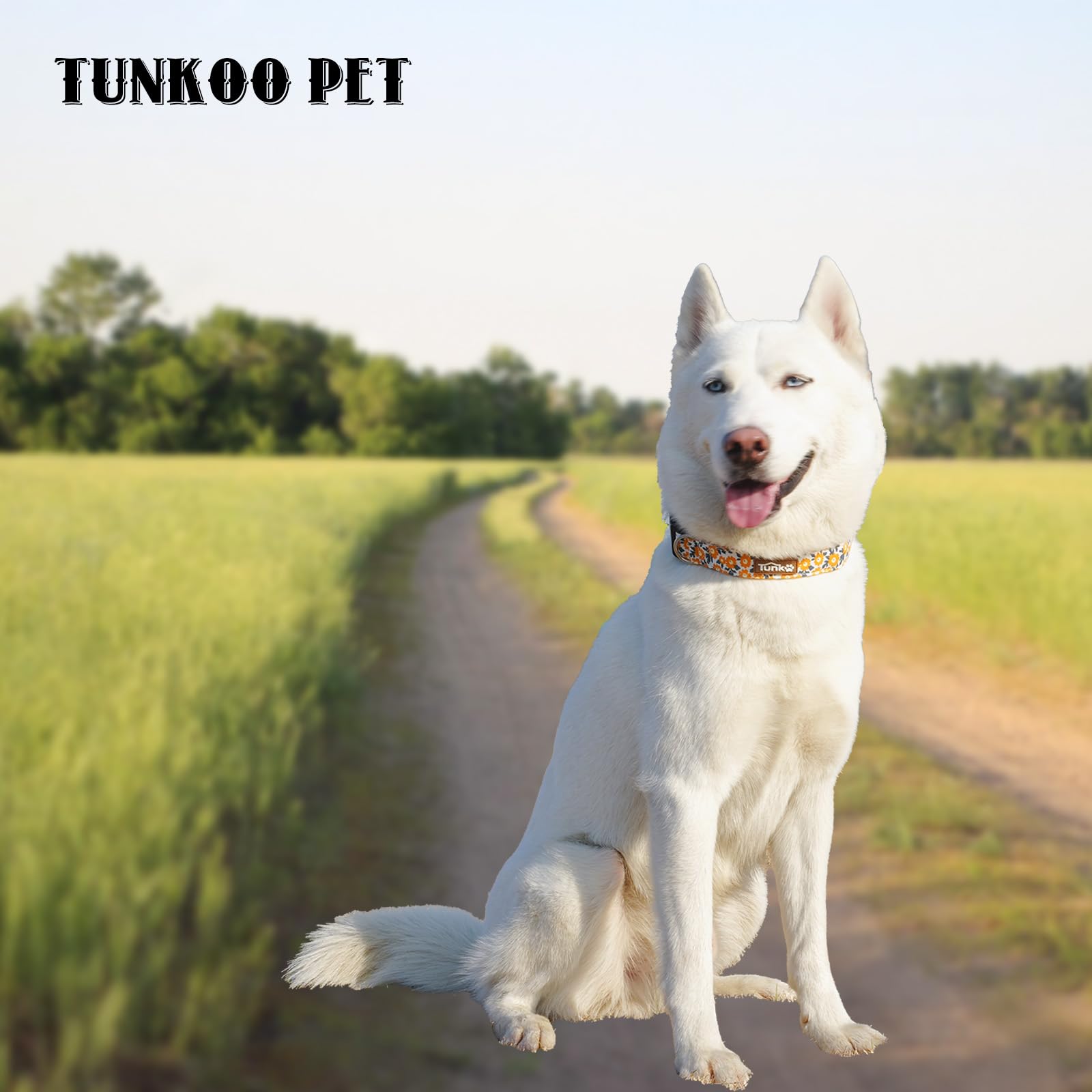 Tunkoo Flower Dog Collar, Cute Adjustable Yellow Collar For Lgbt Pride Month Strong Plastic Buckle - For Small Medium Large Pets