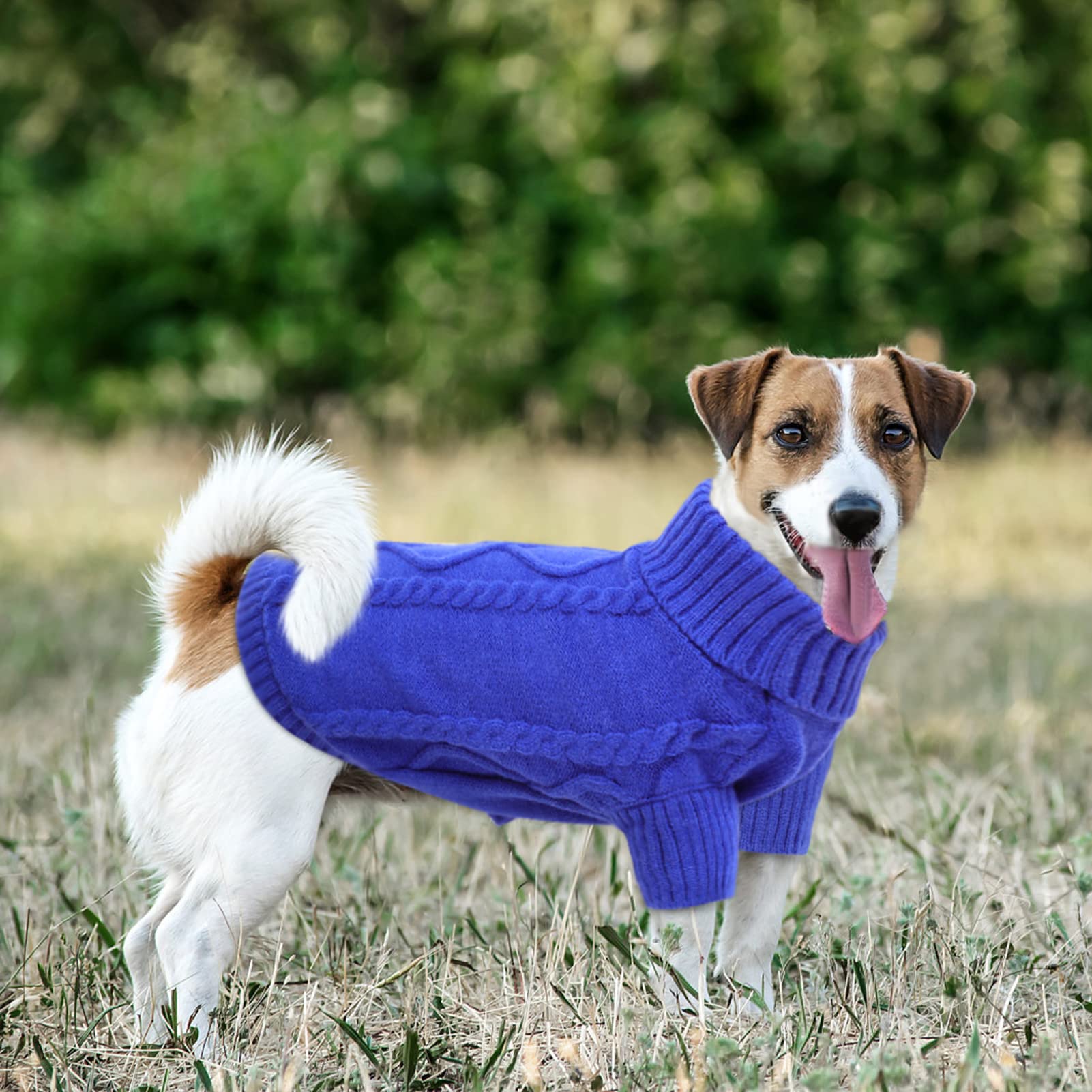 Queenmore Xxl Sweater For Large Dogs, Warm Turtleneck Knitted For Pitbull Doberman, Winter Clothes For Male Female Dogs (Royal B