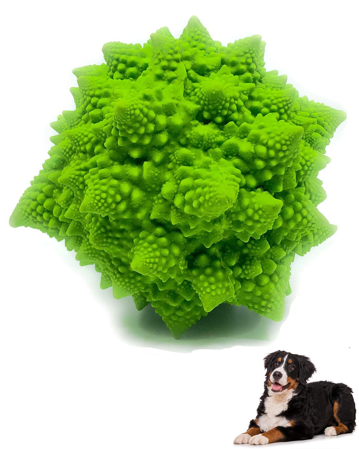 Xl Squeaky Dog Toy - Large And Medium Dogs - Sensory Nubby Dog Toy Broccoli - Natural Rubber (Latex) - Free From Harmful Chemicals (Green) -Like New