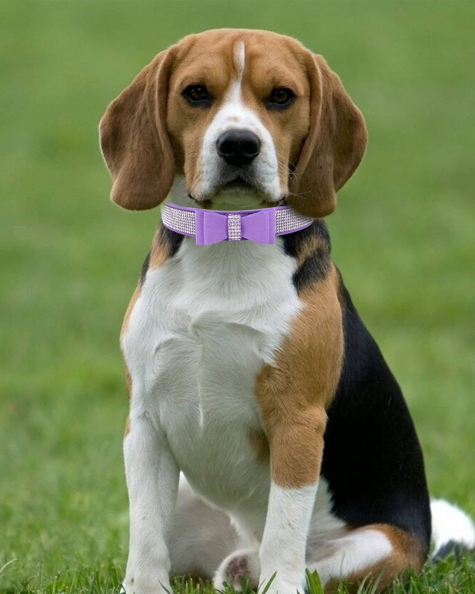 Bling Rhinestone Dog Collars For Small To Large Dogs, Adjustable Leather Suede Sofe Cat Collar (L(15''-18.1''/38Cm-46Cm), Purple