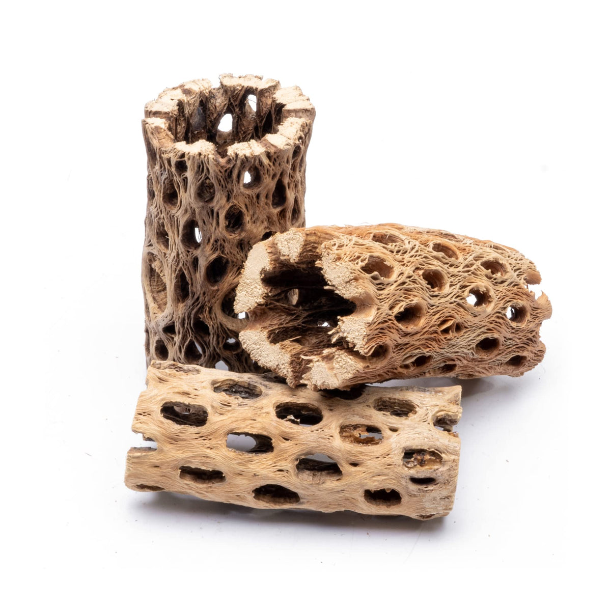 Substratesource Natural Cholla Large Wood Logs - Driftwood For Aquariums, Hermit Crab Climbing Decorations Fish Tanks- 4 And 6 I