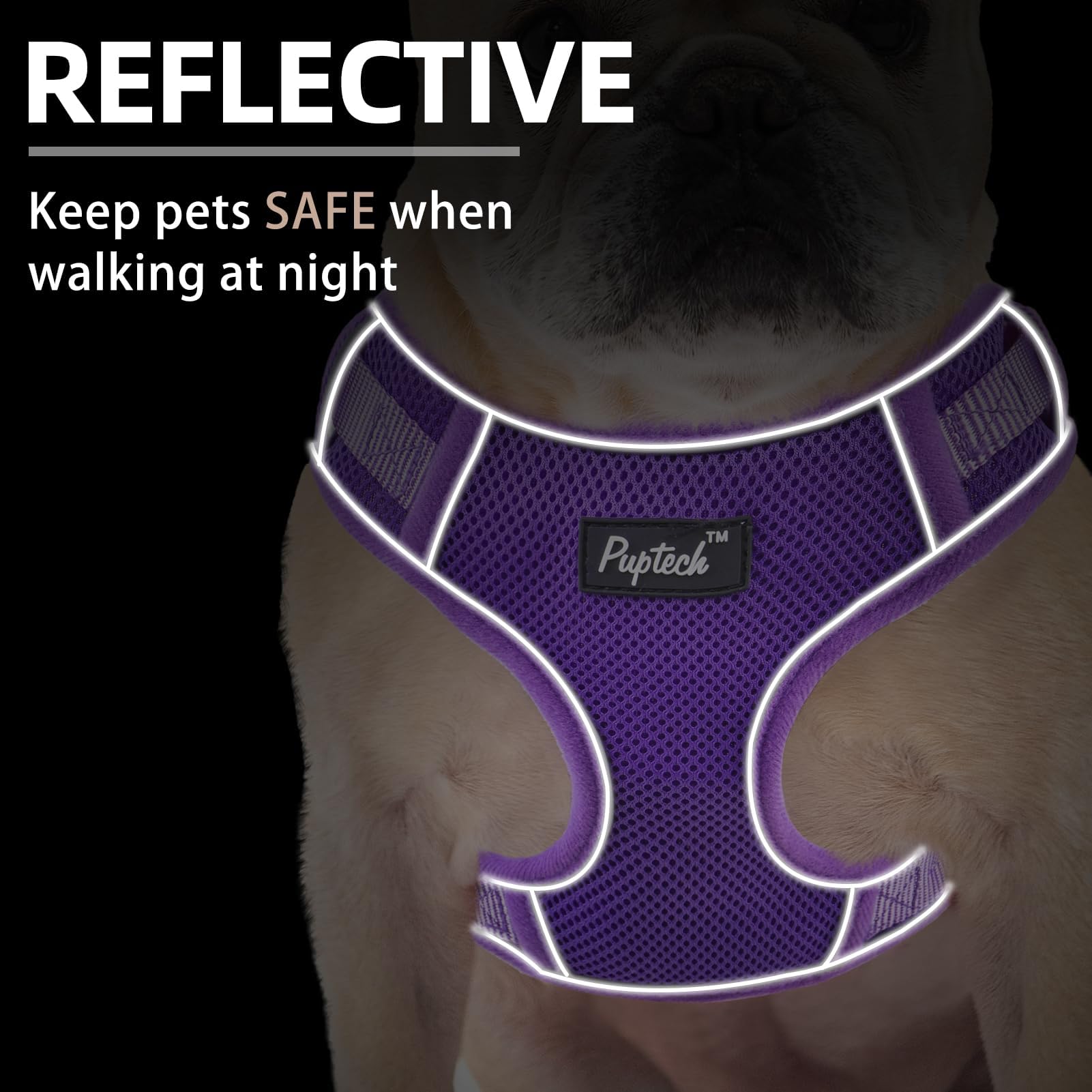 Pupteck Dog Harness And Leash Set For Small Medium Dogs No Pull, Soft Mesh Adjustable Puppy Cat Harness Reflective At Night, Pur