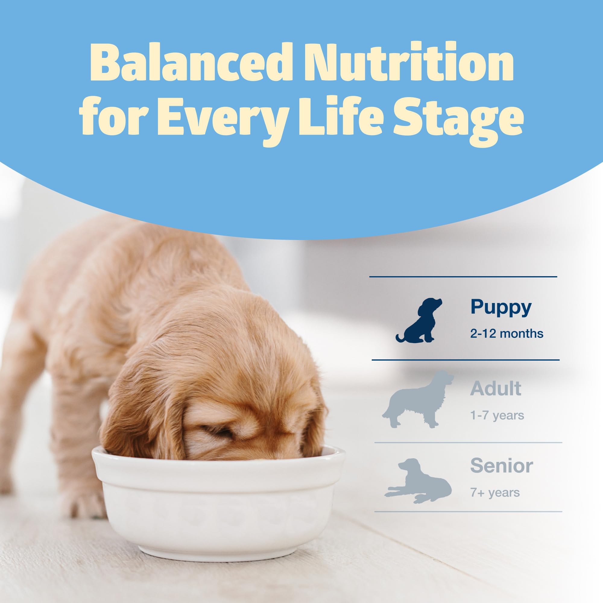 Blue Buffalo Freedom Grain-Free Puppy Dry Dog Food With DHA, Complete & Balanced Nutrition for Puppies, Made in the USA With Nat