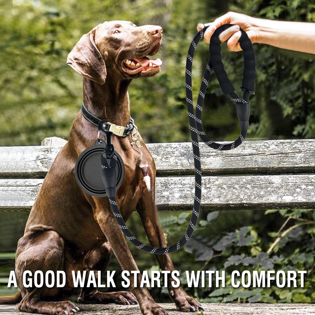 COOYOO 2 Pack Heavy Duty Dog Leash 6 FT with Padded Handle, Reflective, for Medium Large Dogs, Black+Silver