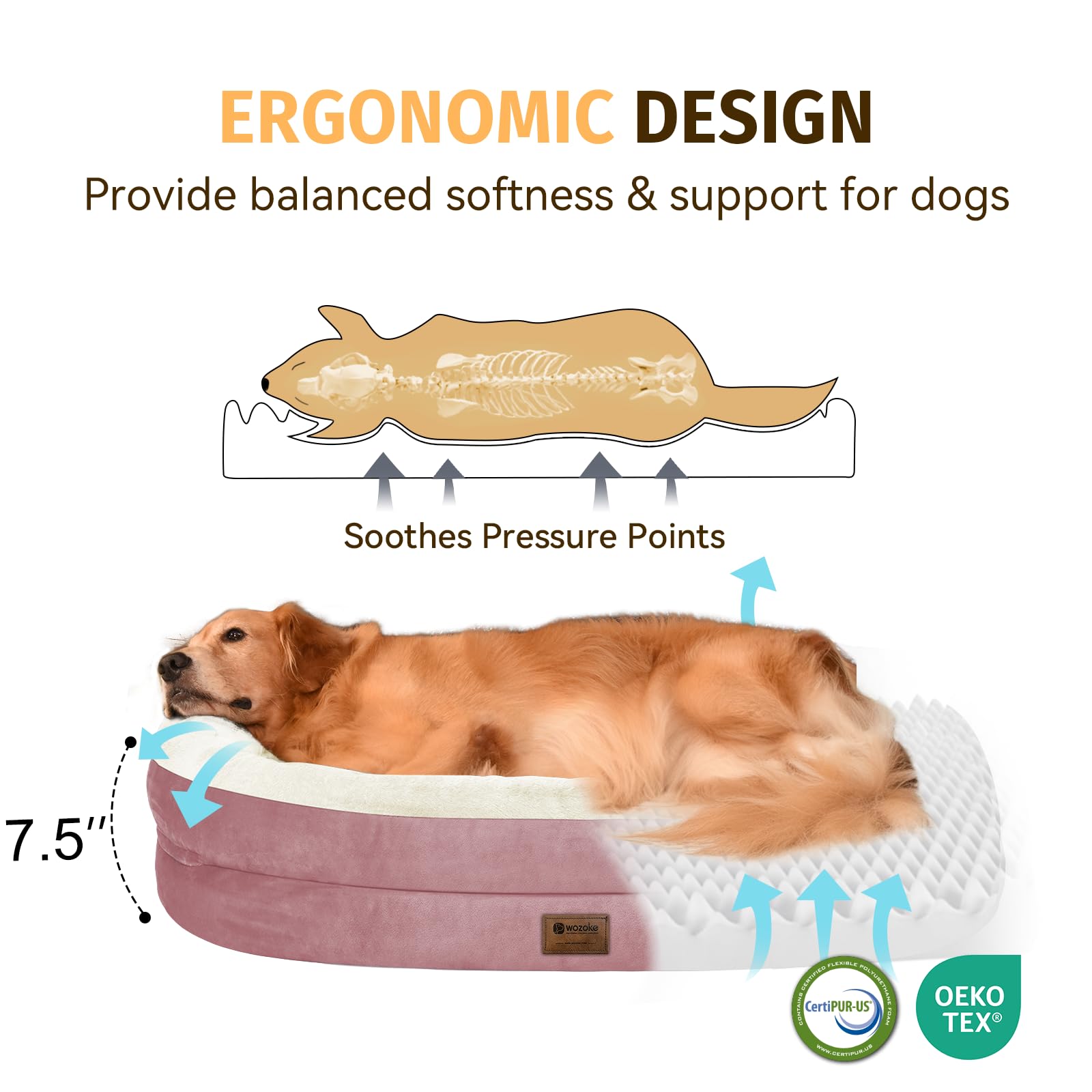 Orthopedic Waterproof Large Memory Foam Dog Bed: Washable Dog Bed With Bolsters - Xxl Orthopedic Removable Cover For Medium Larg