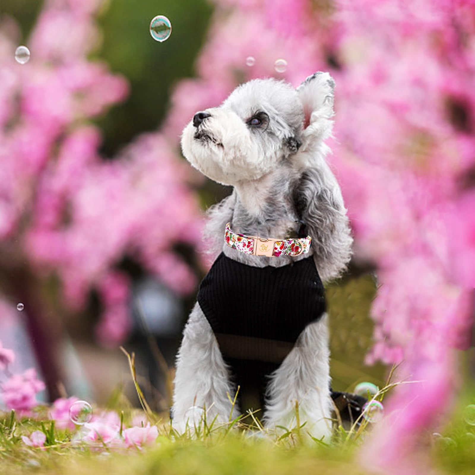Elegant Pink Floral Print Summer Dog Collar - Cotton, Durable, Metal Buckle For Medium Dogs