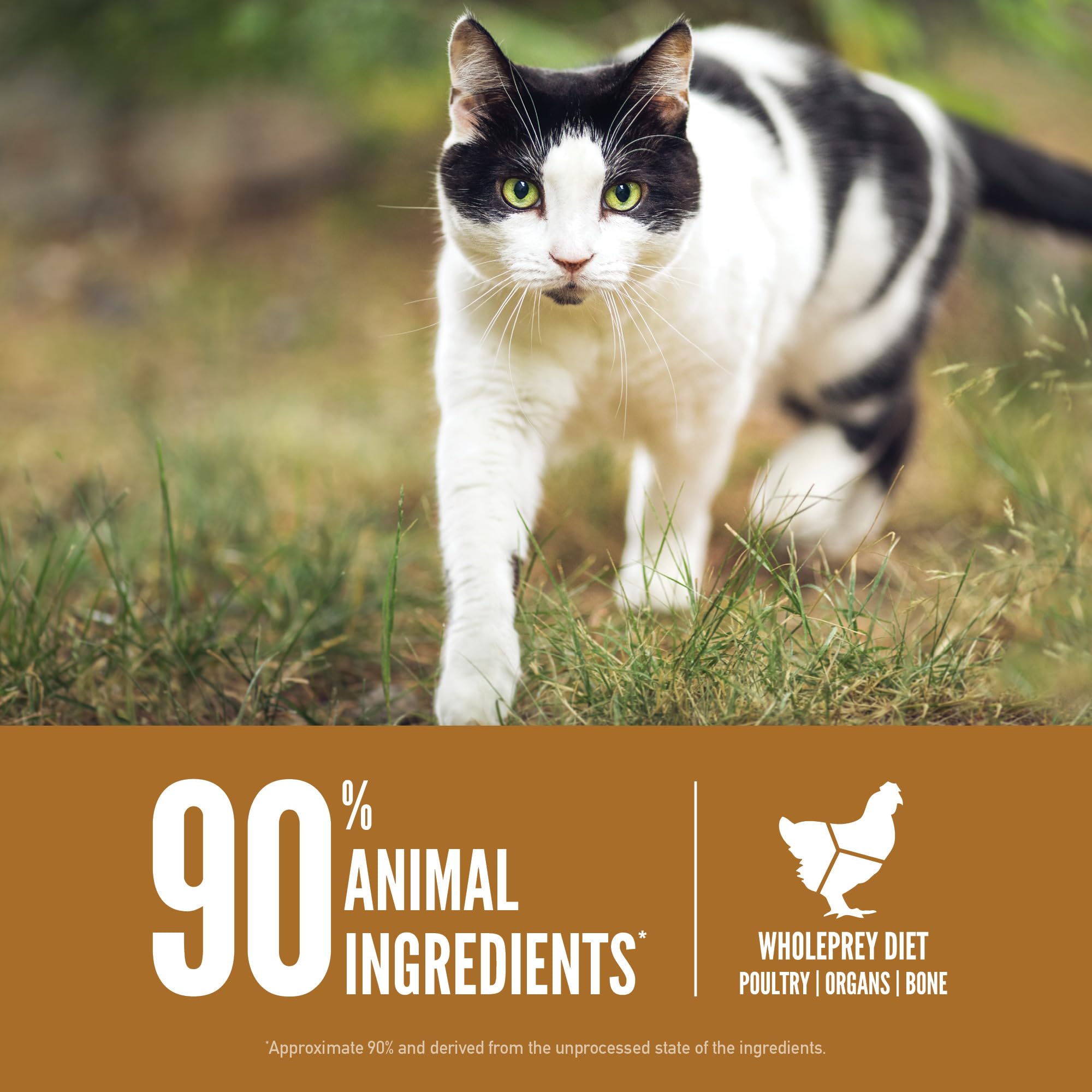 ORIJEN Biologically Appropriate Dry Cat and Kitten Food 4 Pound Bag