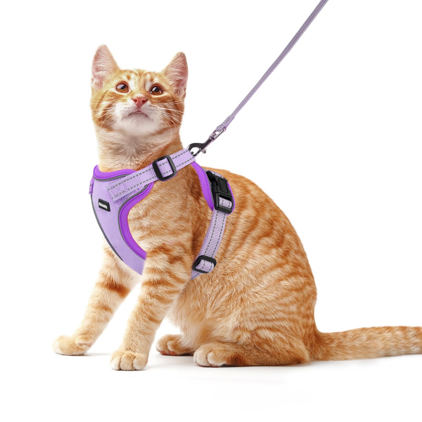 Rttochfy Cat Harness and Leash Set, Adjustable and Reflective Cat Vest, Escape Proof Kitten Harness, Easy to Put on with 3 Buckl