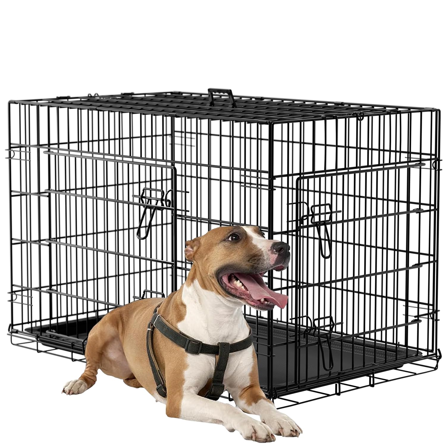 FDW Dog Crate 36inch Dog Cage Foldable Metal Kennel with Leakproof Tray Foldable Design Indoor Outdoor Use for Medium Dogs,Black
