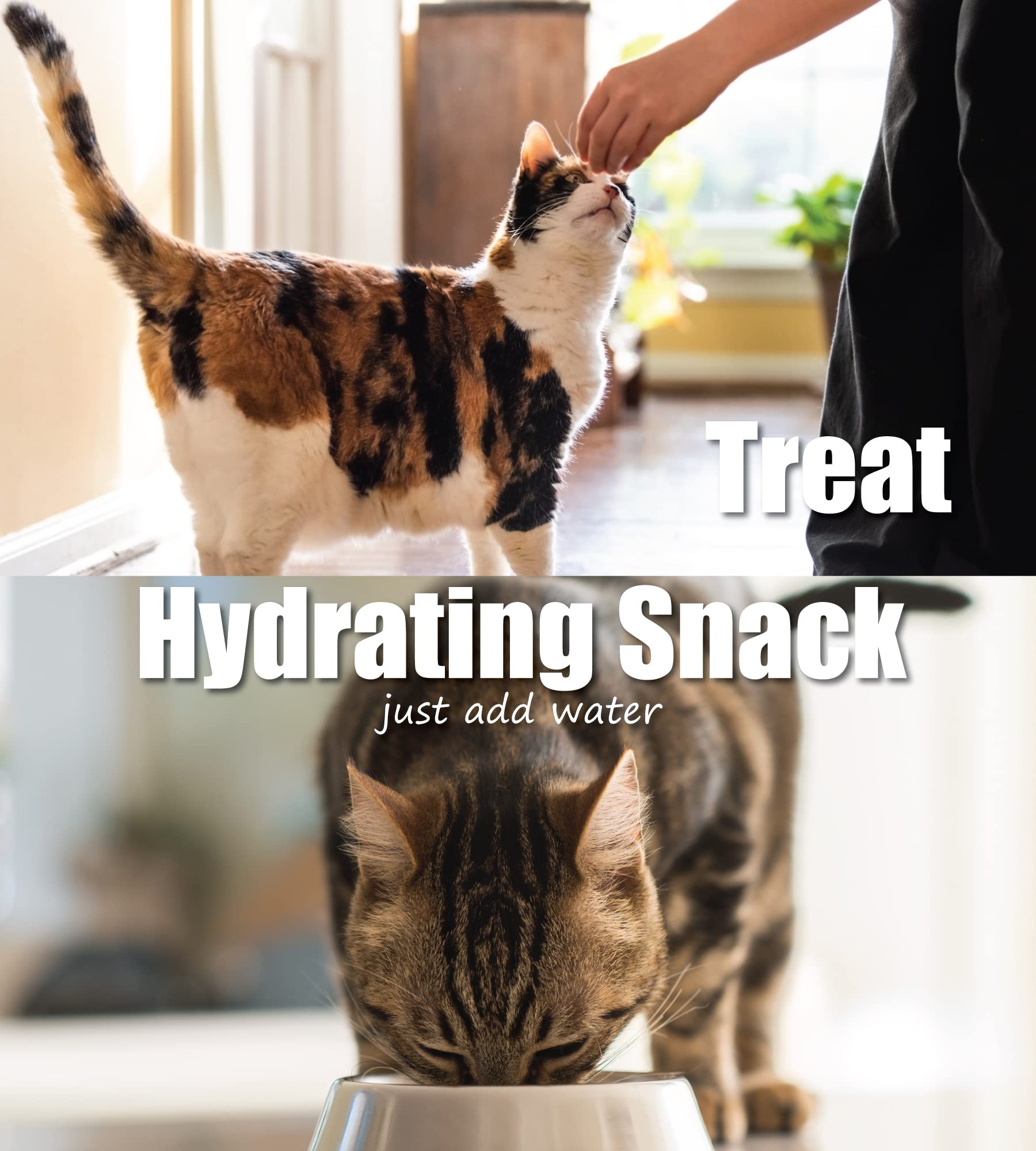 Whole Life Cat Just One Salmon Freeze Dried Cat Treats - Human Grade High Protein Food, Healthy Training Snacks, Freeze Dried Sa