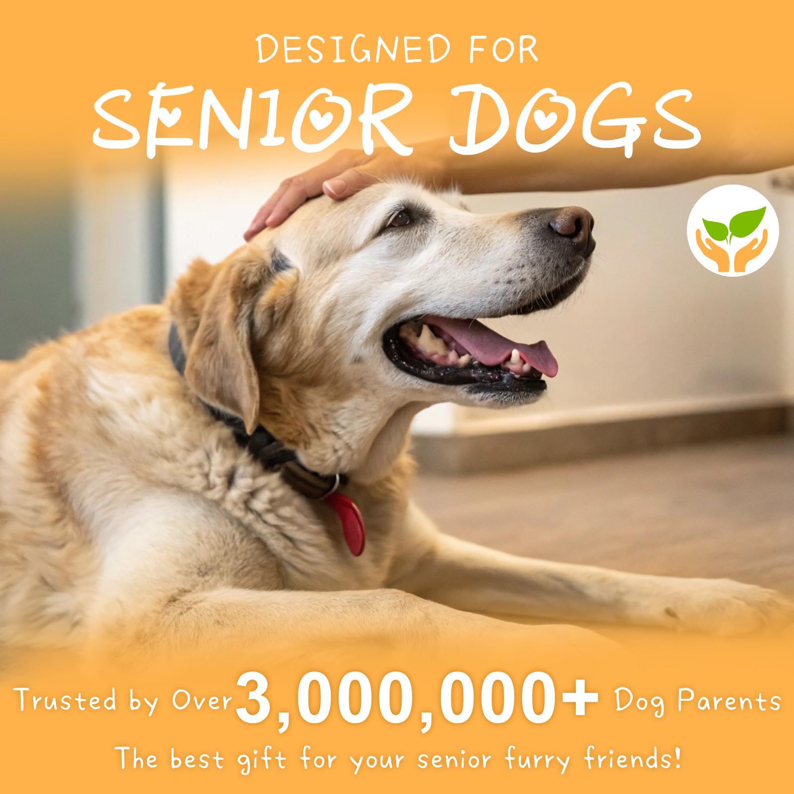 Beautyzoo Dog Socks To Prevent Licking Paws, 3 Pairs Anti Slip Dog Shoes For Hot Pavement Hardwood Floors, Traction Control Toe